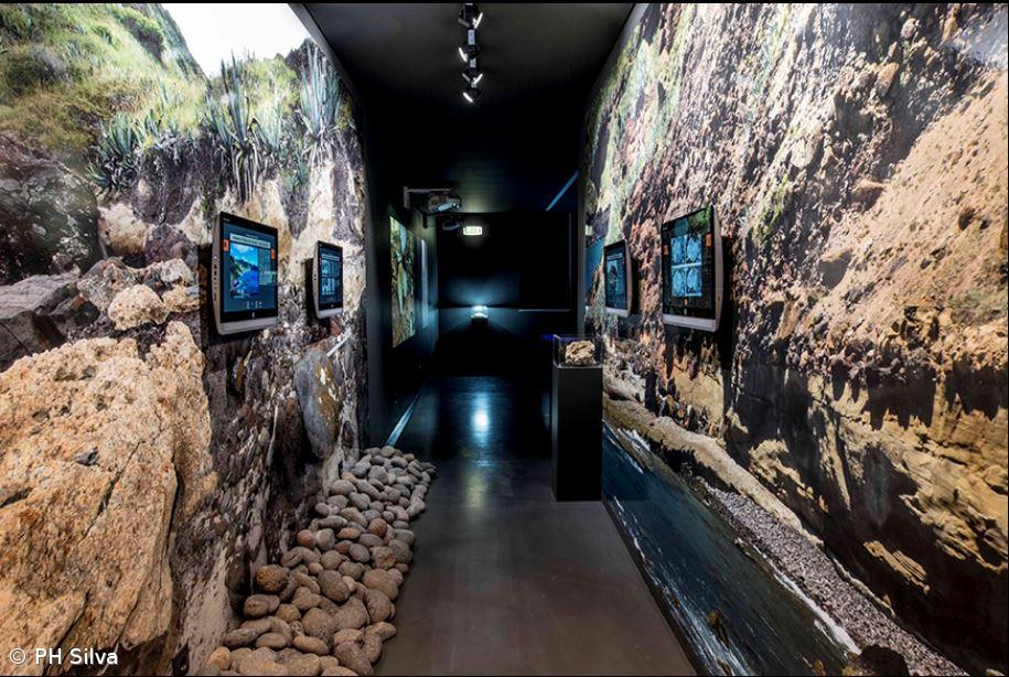 Paleontologia e música fundem-se na Casa dos Fósseis – Imagem 1