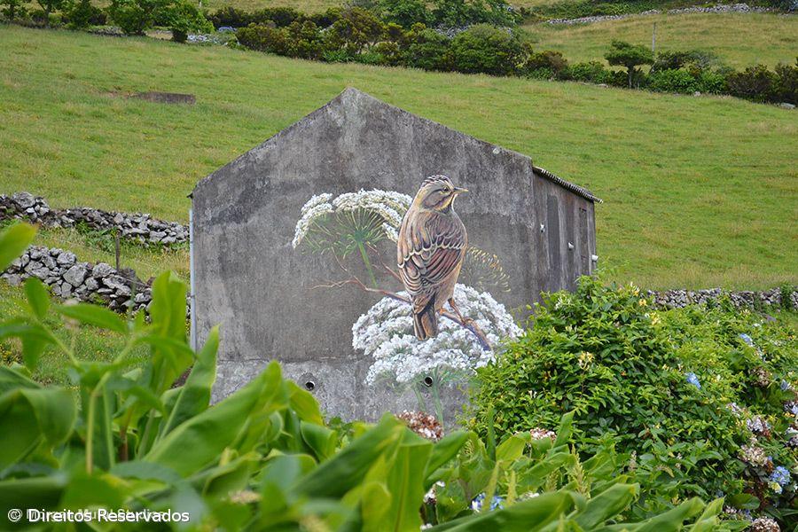 Missão cumprida! Há mais 700 plantas a reflorestar Santa Cruz  – Imagem 1