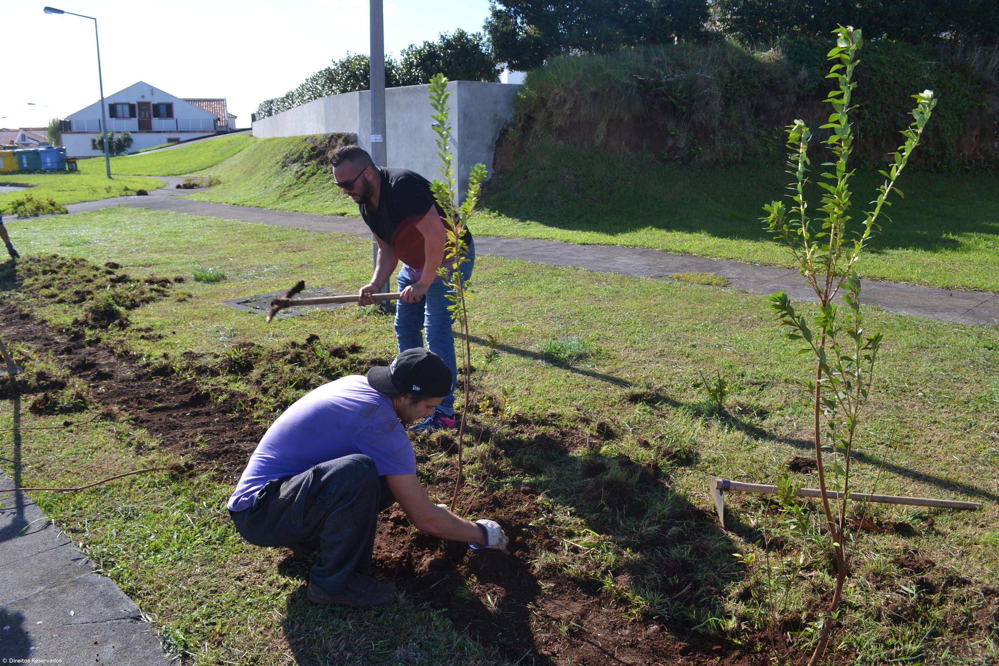 Missão cumprida! Há mais 700 plantas a reflorestar Santa Cruz  – Imagem 2