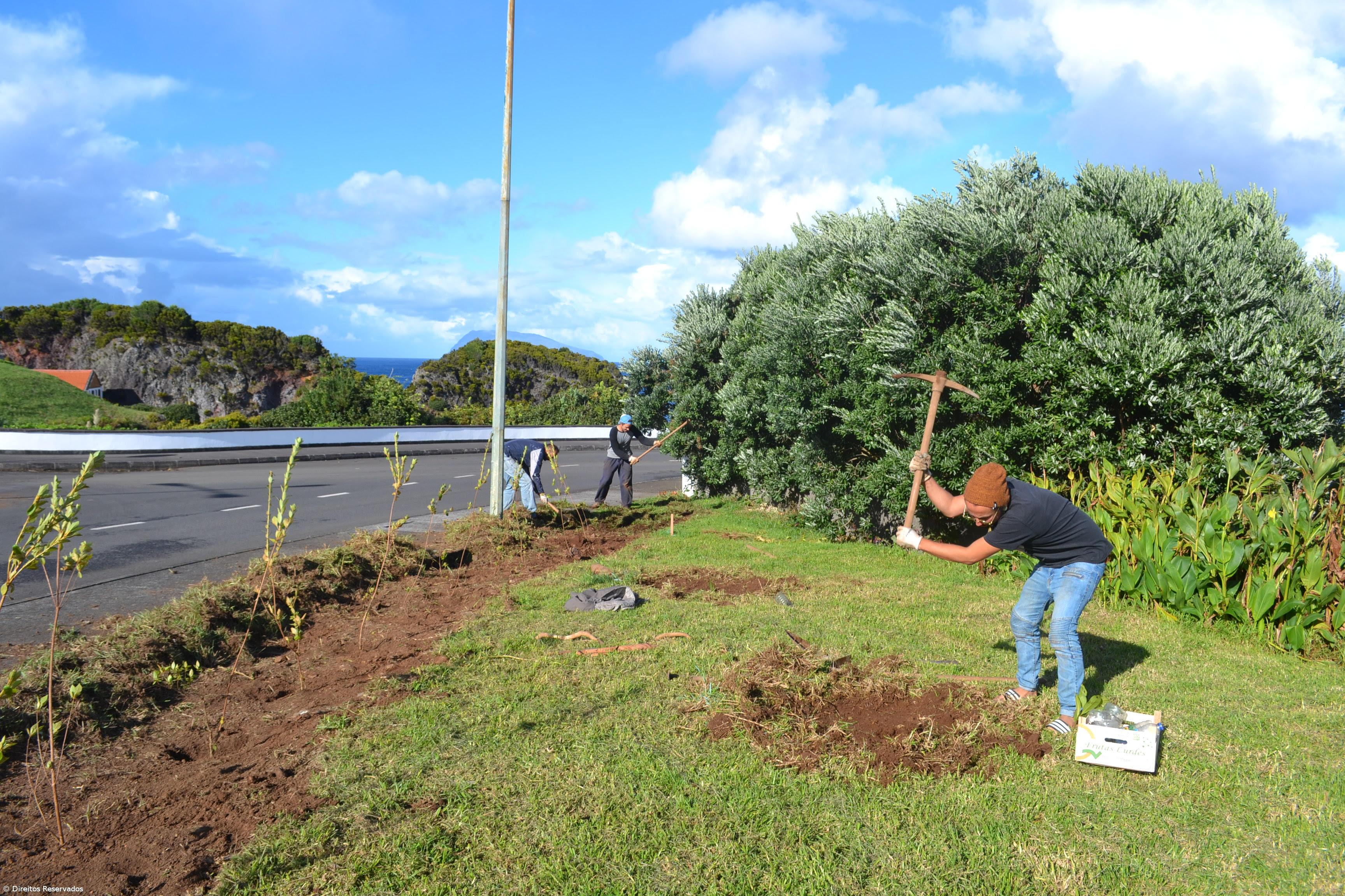 Missão cumprida! Há mais 700 plantas a reflorestar Santa Cruz  – Imagem 3