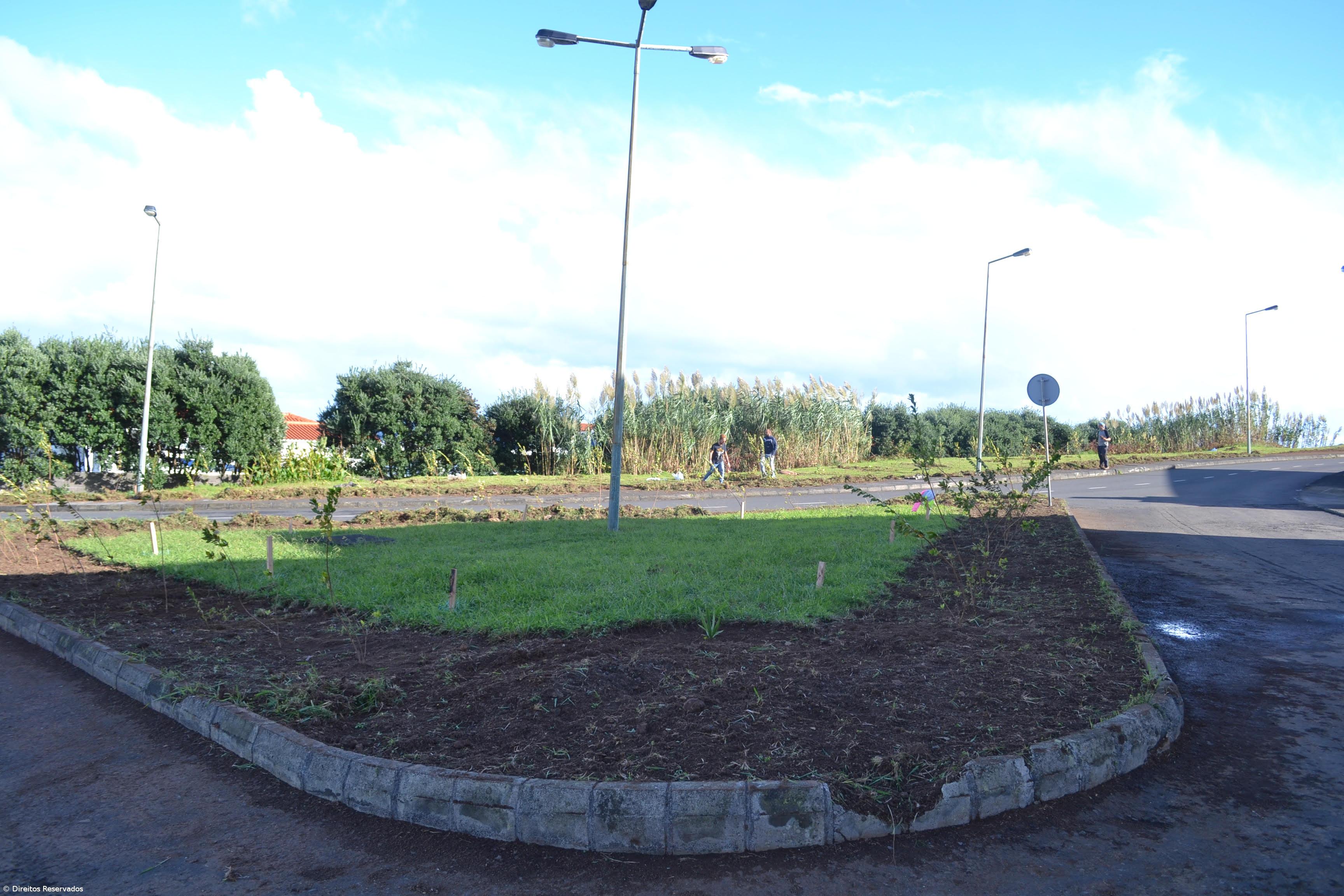 Missão cumprida! Há mais 700 plantas a reflorestar Santa Cruz  – Imagem 4