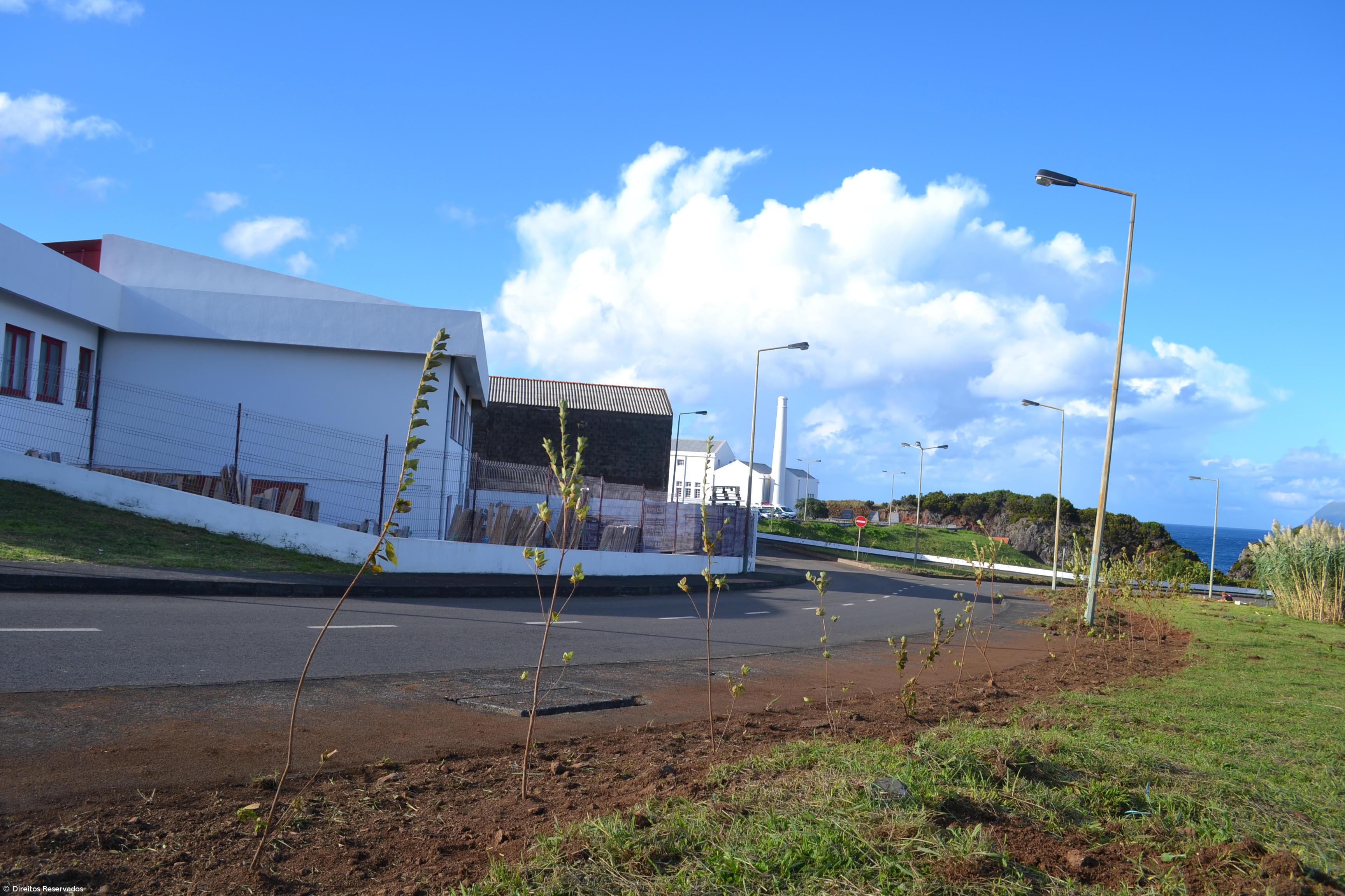 Missão cumprida! Há mais 700 plantas a reflorestar Santa Cruz  – Imagem 5