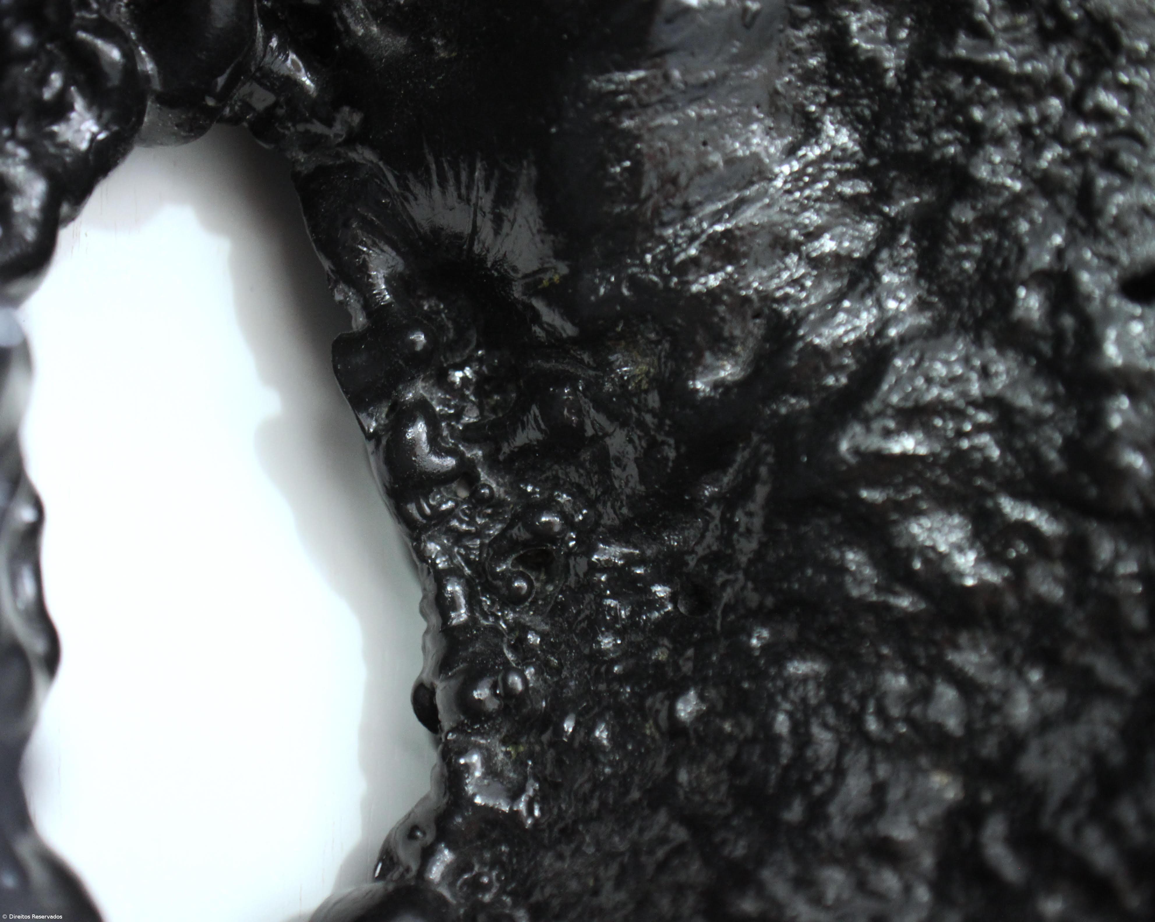 Artista plástica açoriana expõe em Lisboa – Imagem 3