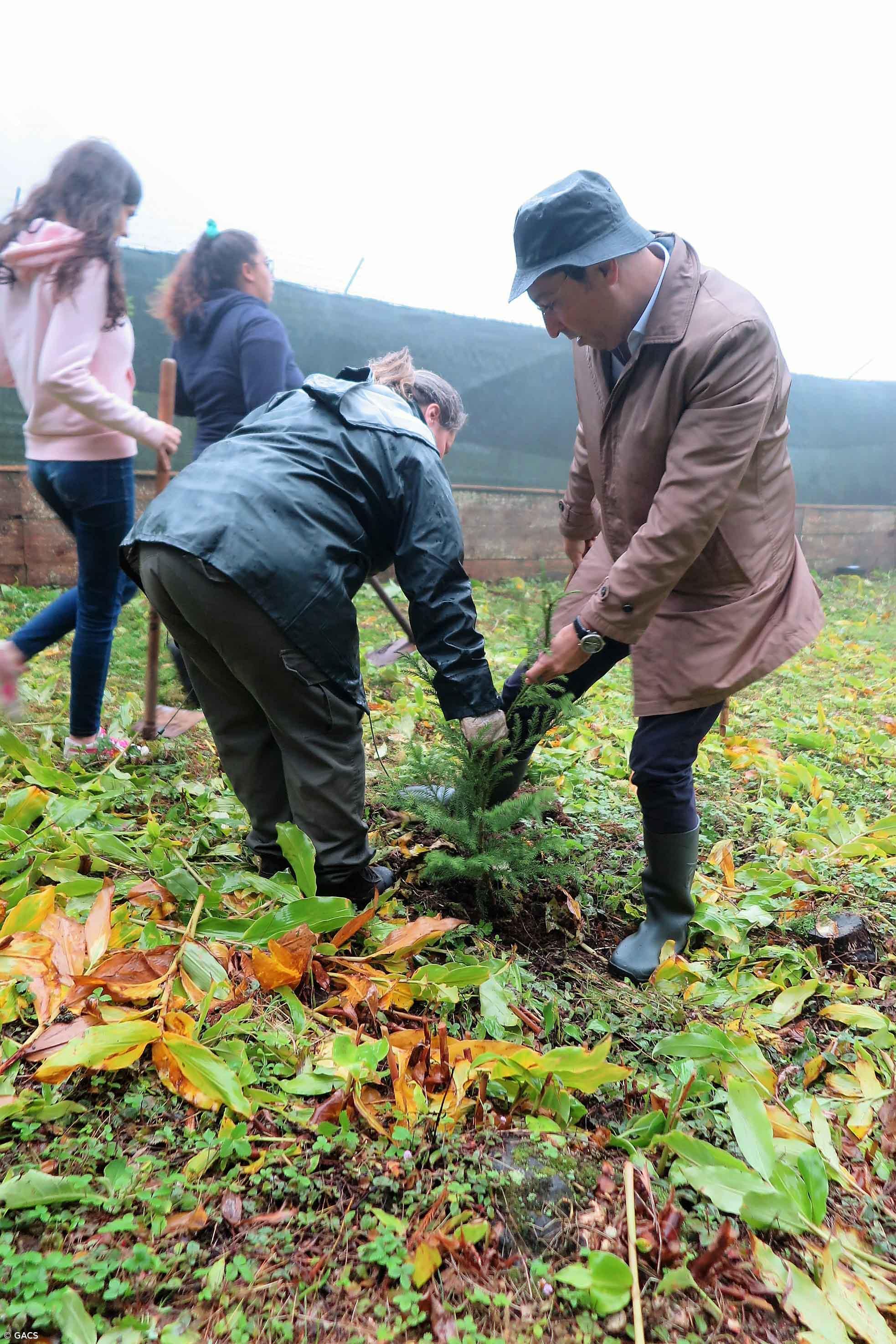 Estudantes da Lagoa em missão de etiquetagem de árvores de natal – Imagem 1
