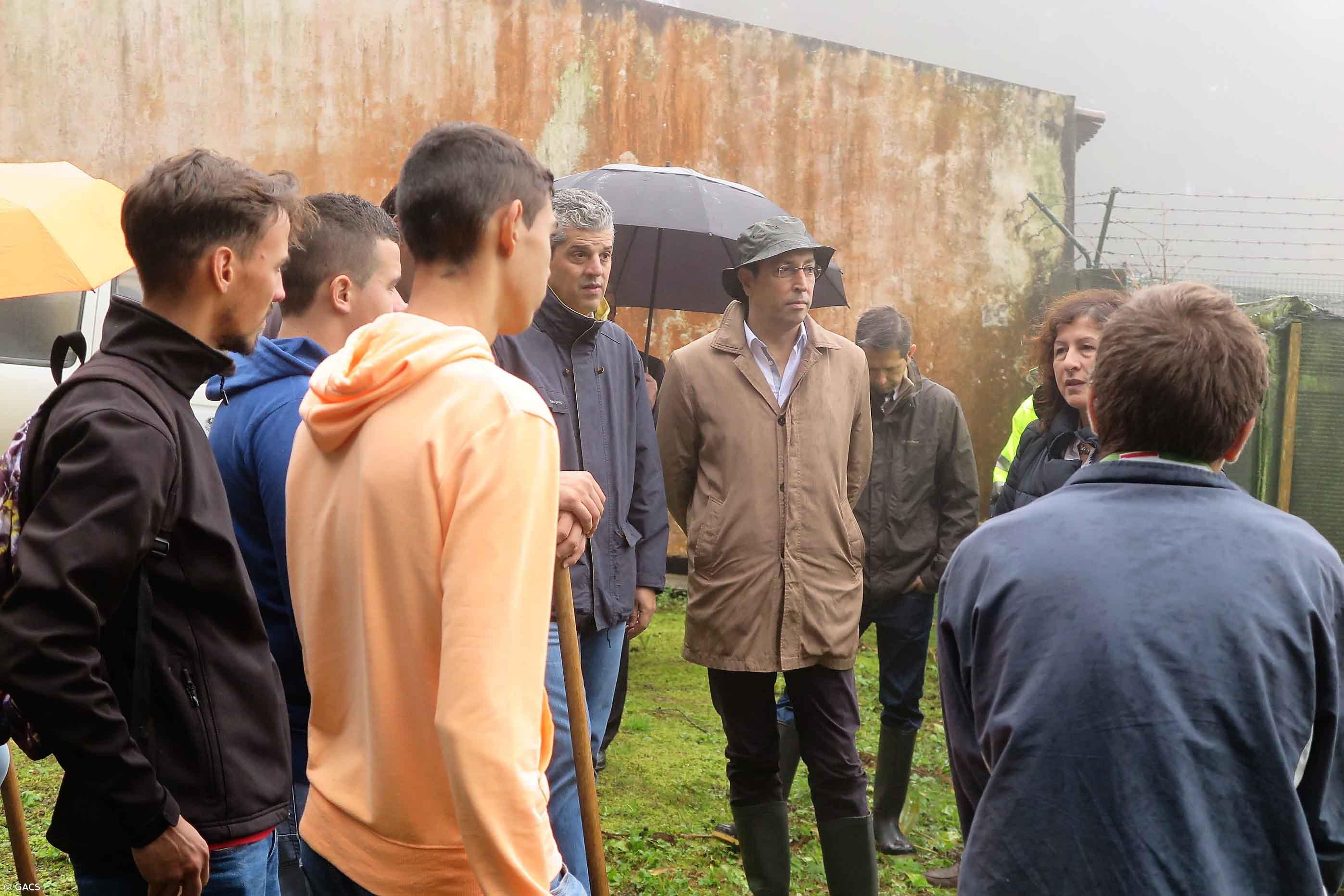 Estudantes da Lagoa em missão de etiquetagem de árvores de natal – Imagem 2