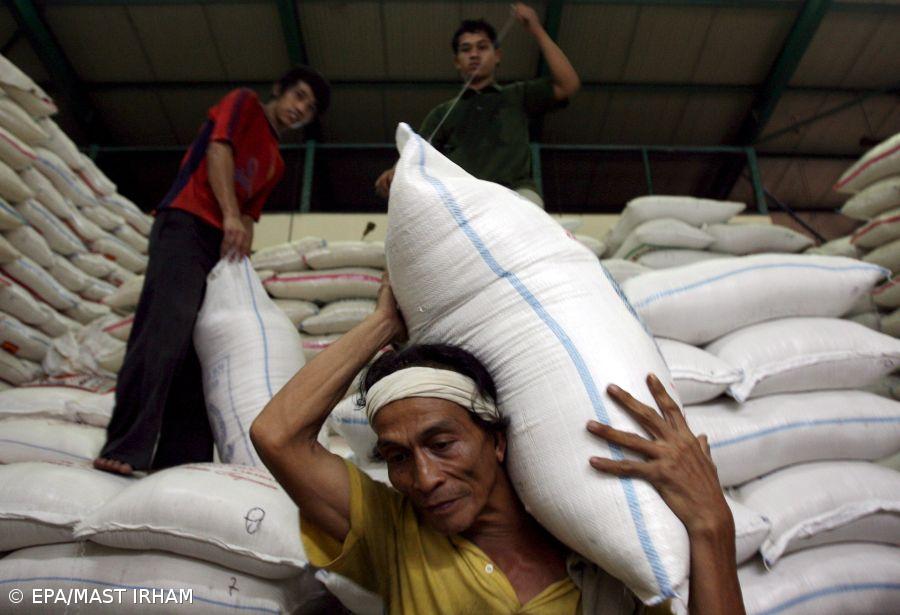 FAO defende a eficácia de programas de proteção social no combate à pobreza e à fome – Imagem 1