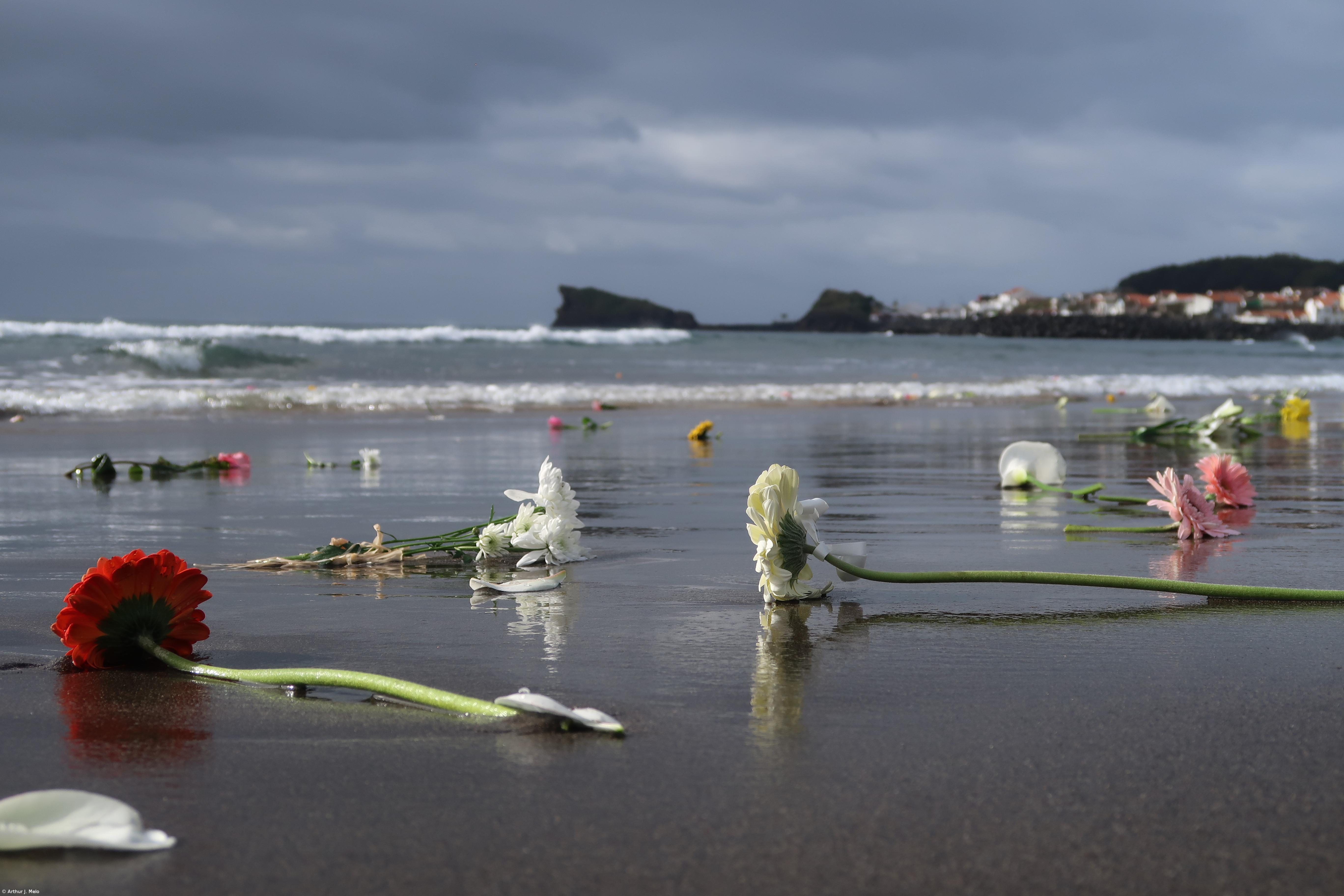 Homenagem a Tânia Oliveira em São Miguel junta centenas de pessoas – Imagem 1