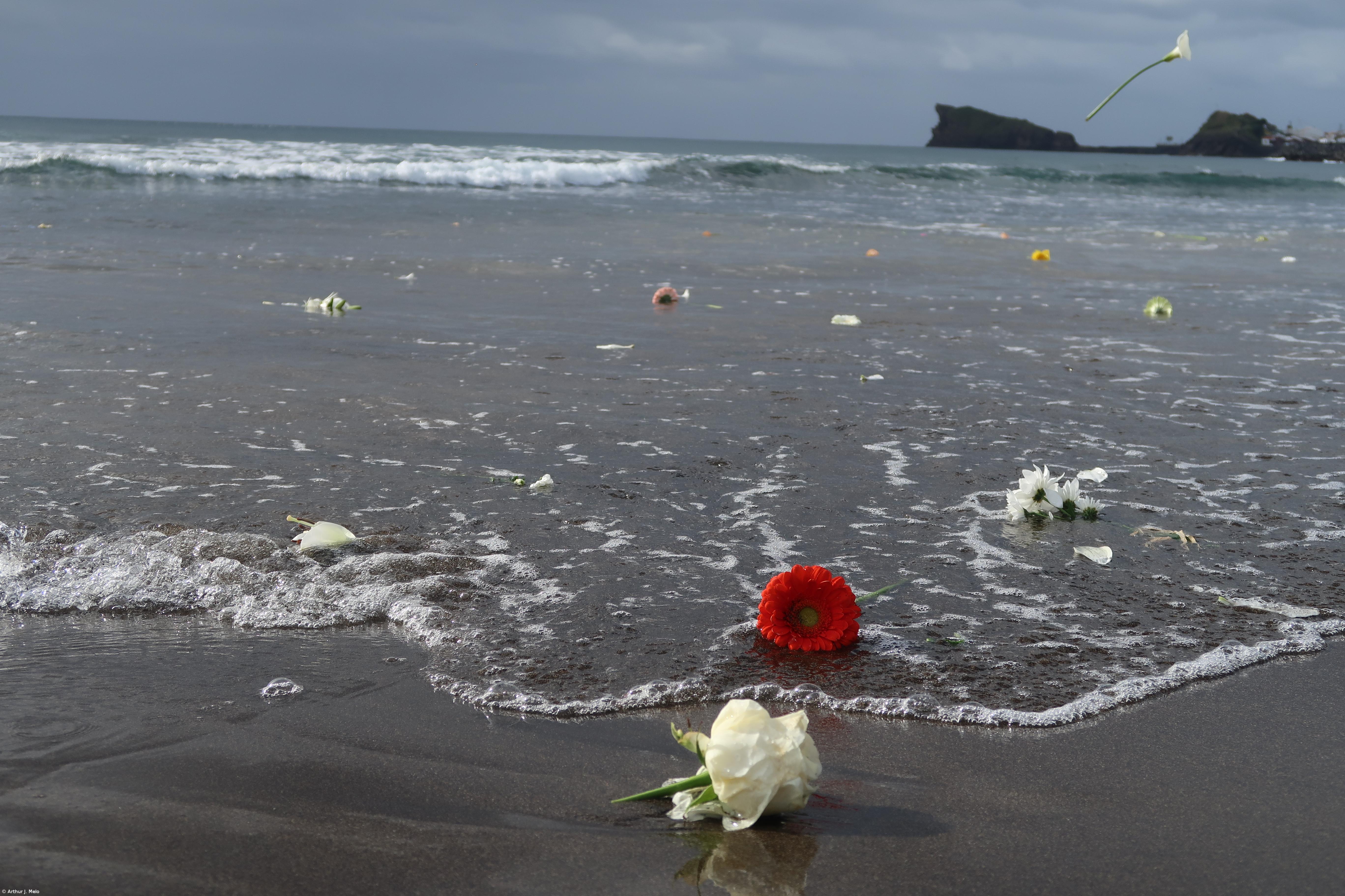 Homenagem a Tânia Oliveira em São Miguel junta centenas de pessoas – Imagem 9