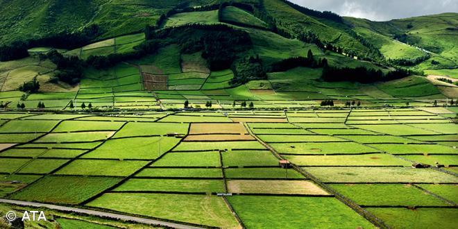Turismo de Portugal quer trabalho conjunto para estender crescimento a todo o território – Imagem 1