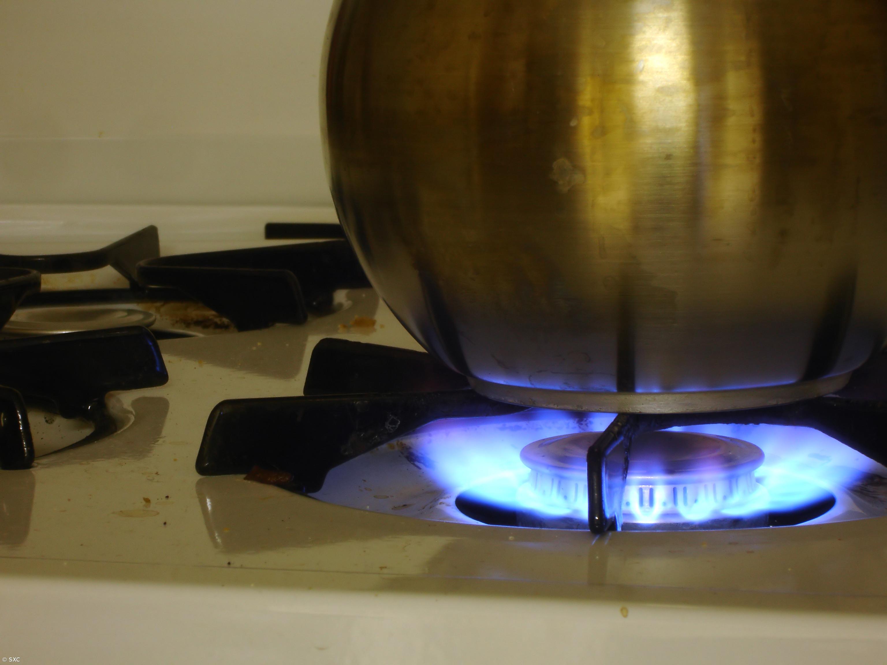 Portugueses vão a Espanha comprar garrafas de gás a quase metade do preço  – Imagem 1