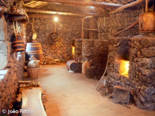 Paraíso a descoberto na Quinta do Martelo – Imagem 7