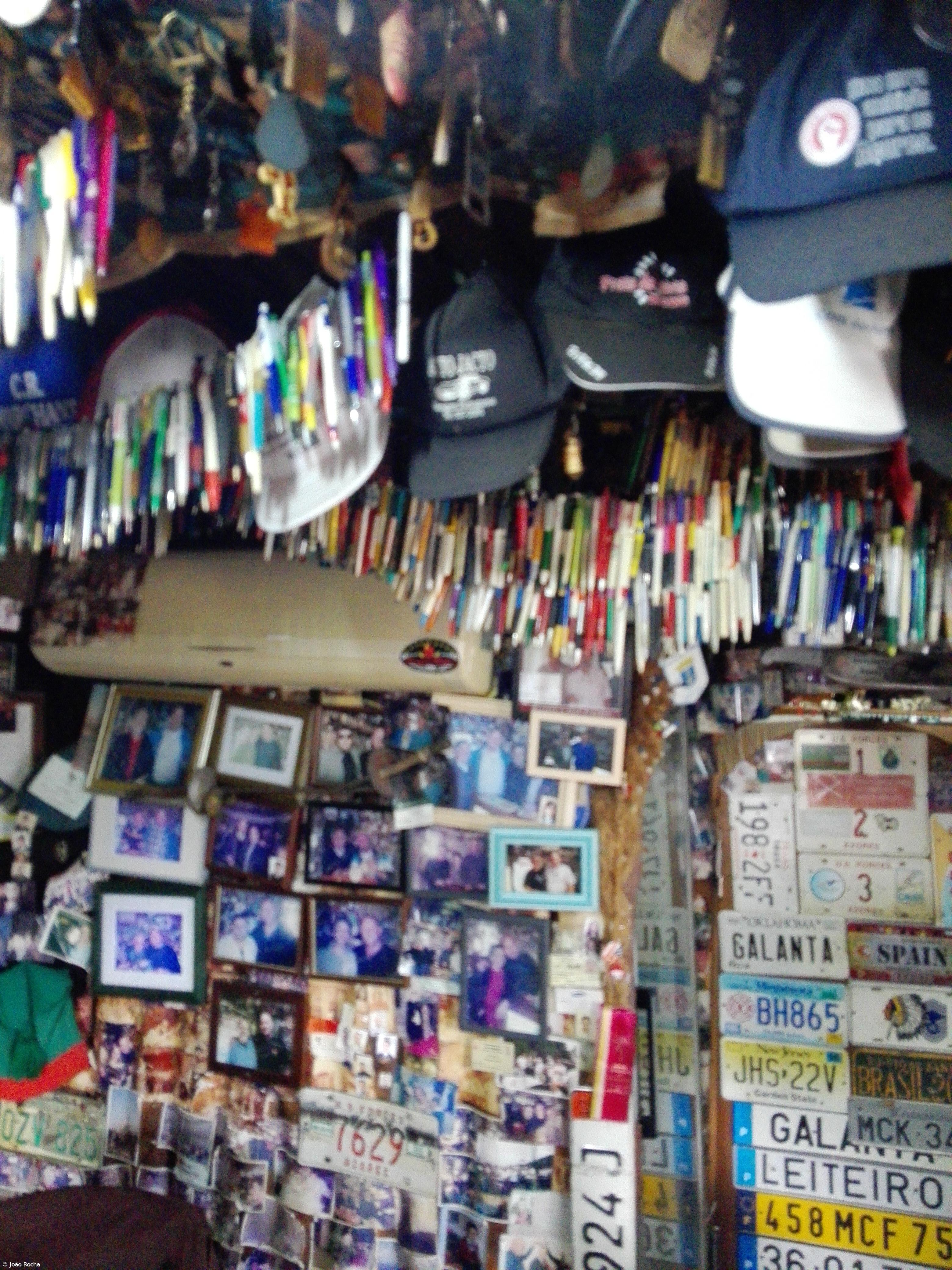 Galanta a cantar e a consumir a vida – Imagem 3