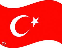 Covid-19: Turquia regista 61 mortes, o número mais baixo no espaço de um mês – Imagem 1