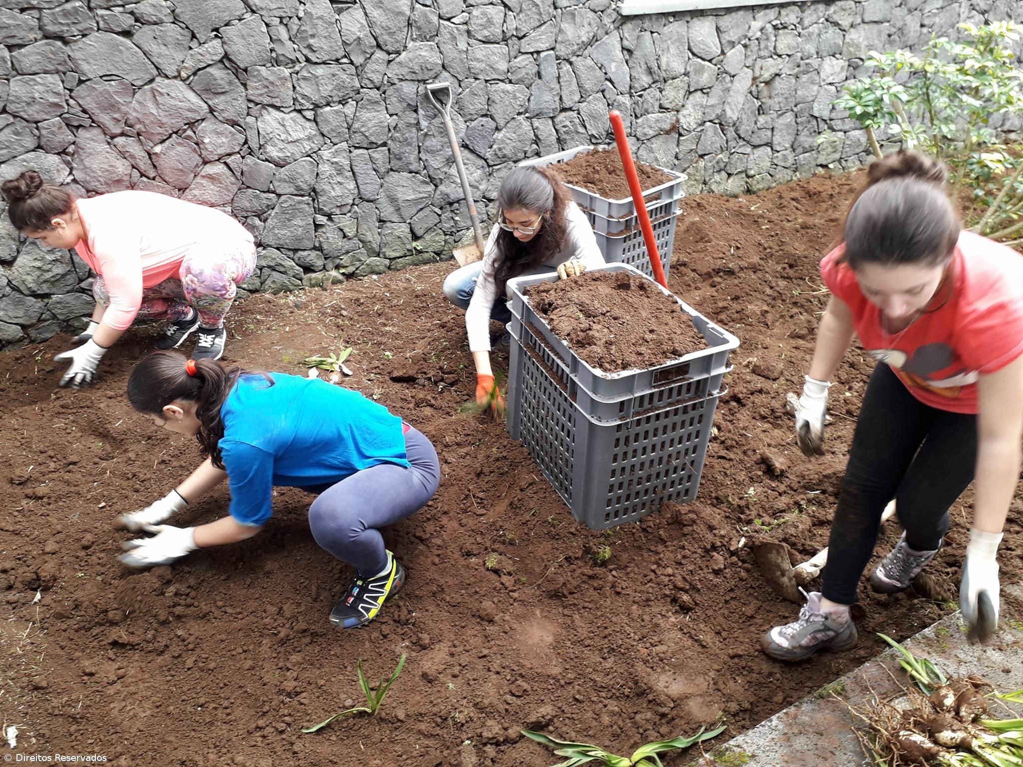 Choki e Bombeiros dão nova vida ao jardim do Tribunal de Santa Cruz das Flores – Imagem 2