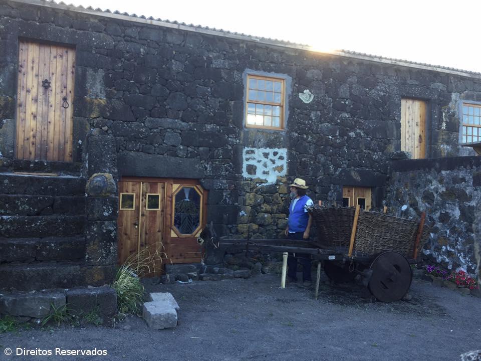 Livros e obras de arte com cheiro a bolo de tijolo – Imagem 3