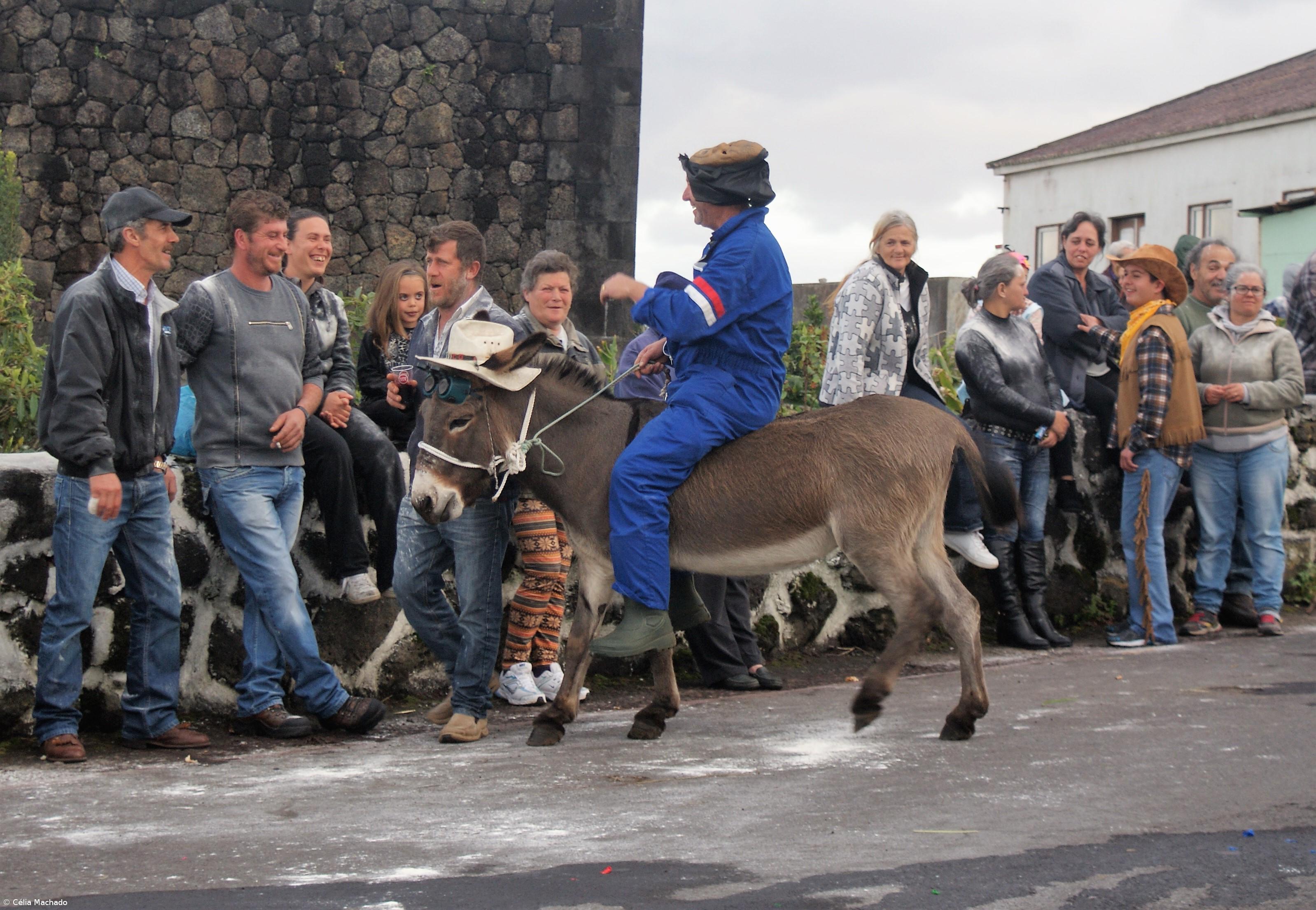 No Carnaval da Ponta da Ilha há testamento de uma burra – Imagem 1