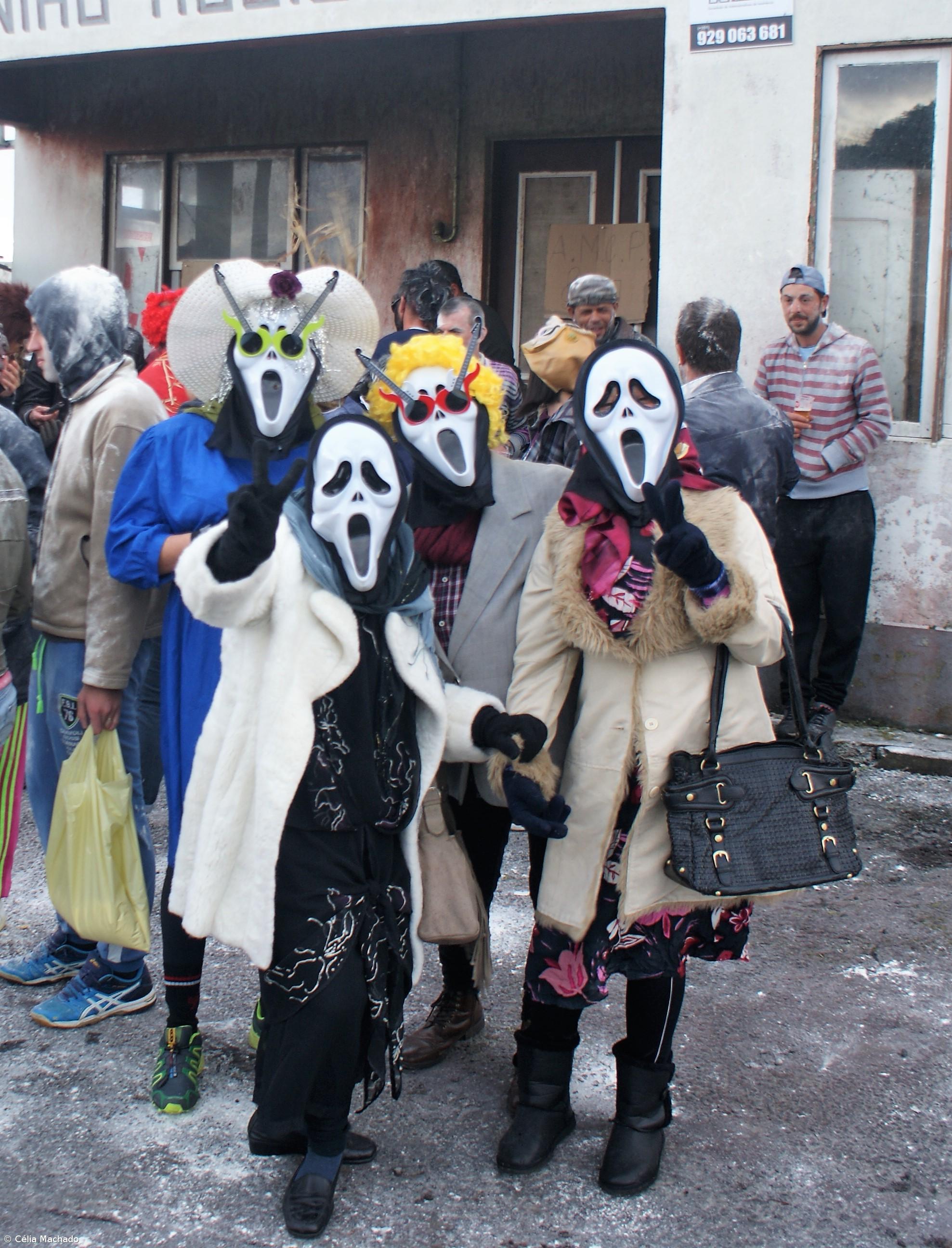 No Carnaval da Ponta da Ilha há testamento de uma burra – Imagem 4