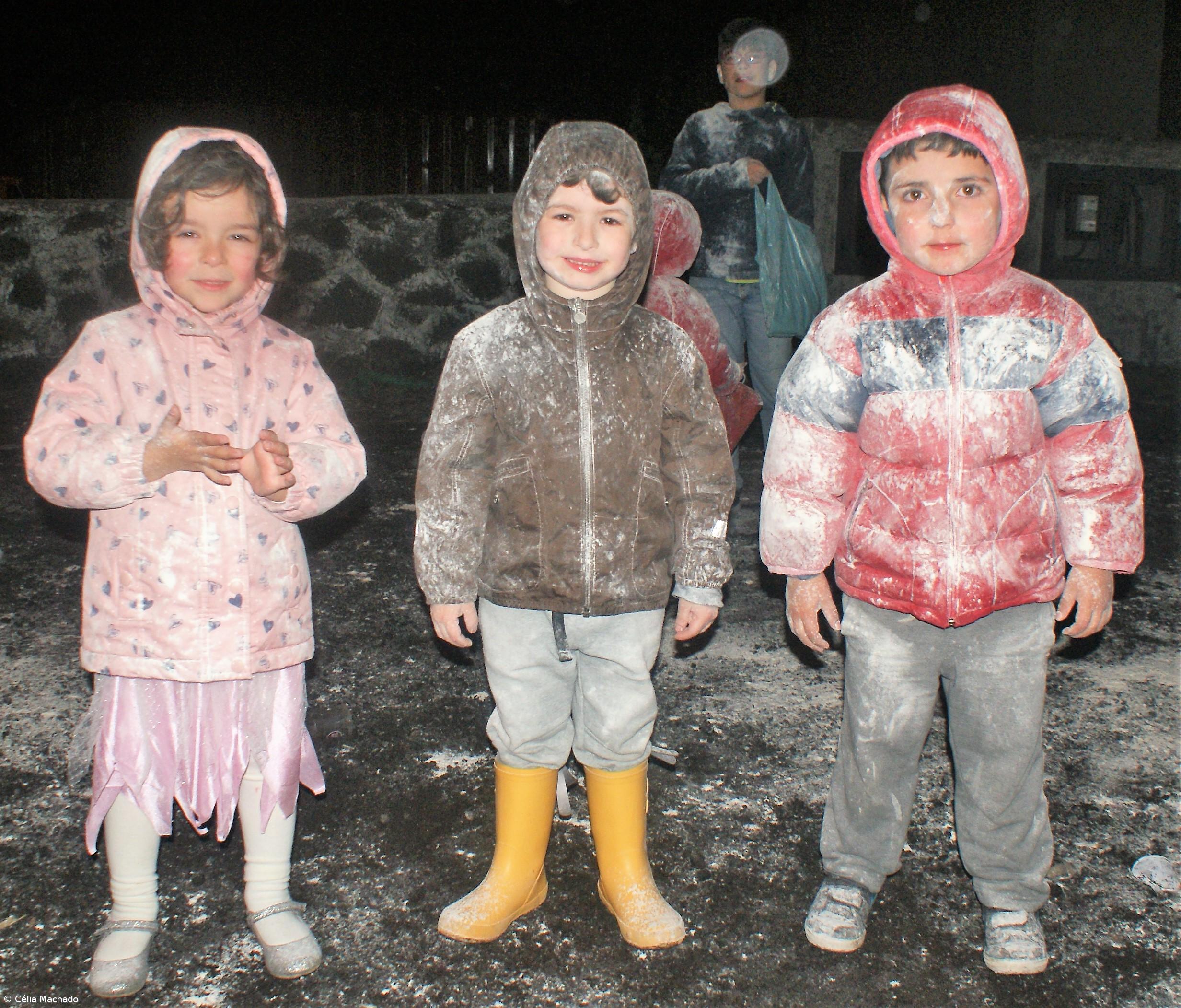 No Carnaval da Ponta da Ilha há testamento de uma burra – Imagem 5