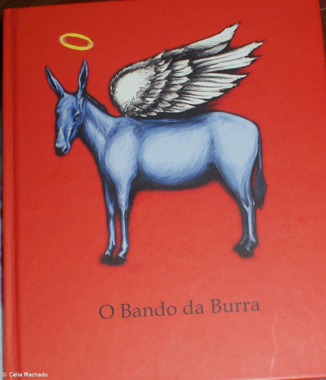 No Carnaval da Ponta da Ilha há testamento de uma burra – Imagem 6