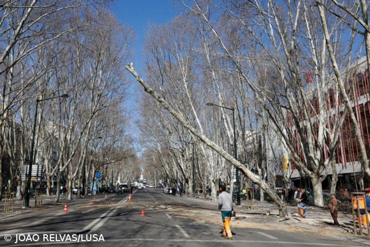 Avenida da Liberdade com a menor taxa média de dióxido de azoto do século – Imagem 1