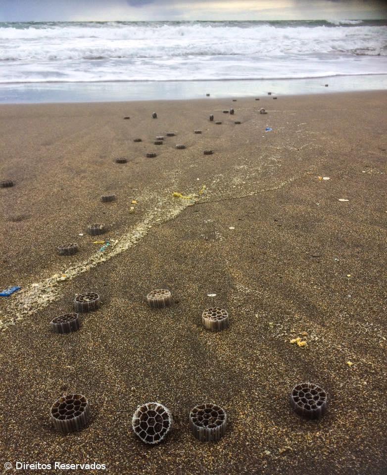 Milhares de filtros plásticos dão à costa na praia das Milícias  – Imagem 1