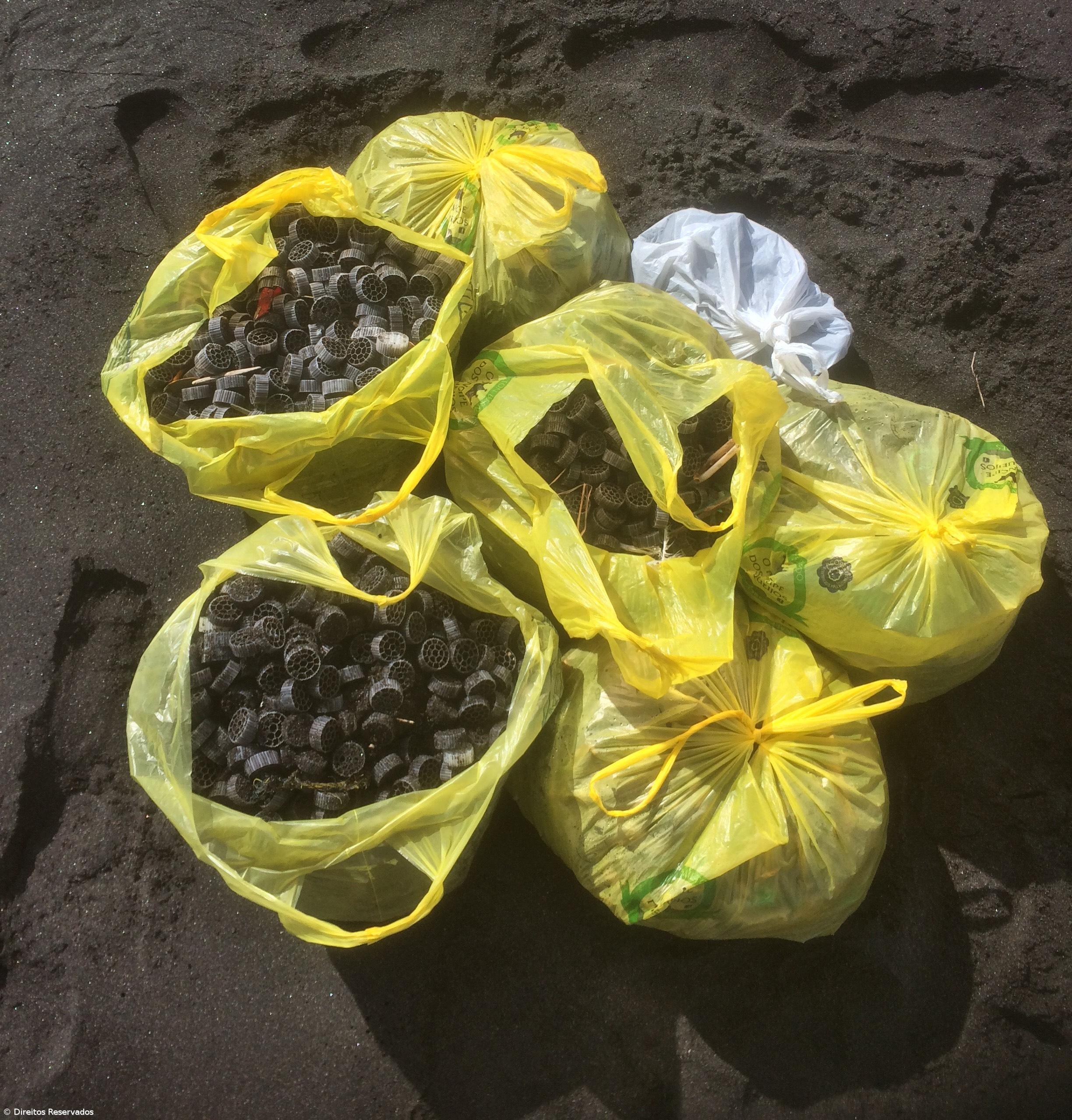 Milhares de filtros plásticos dão à costa na praia das Milícias  – Imagem 2