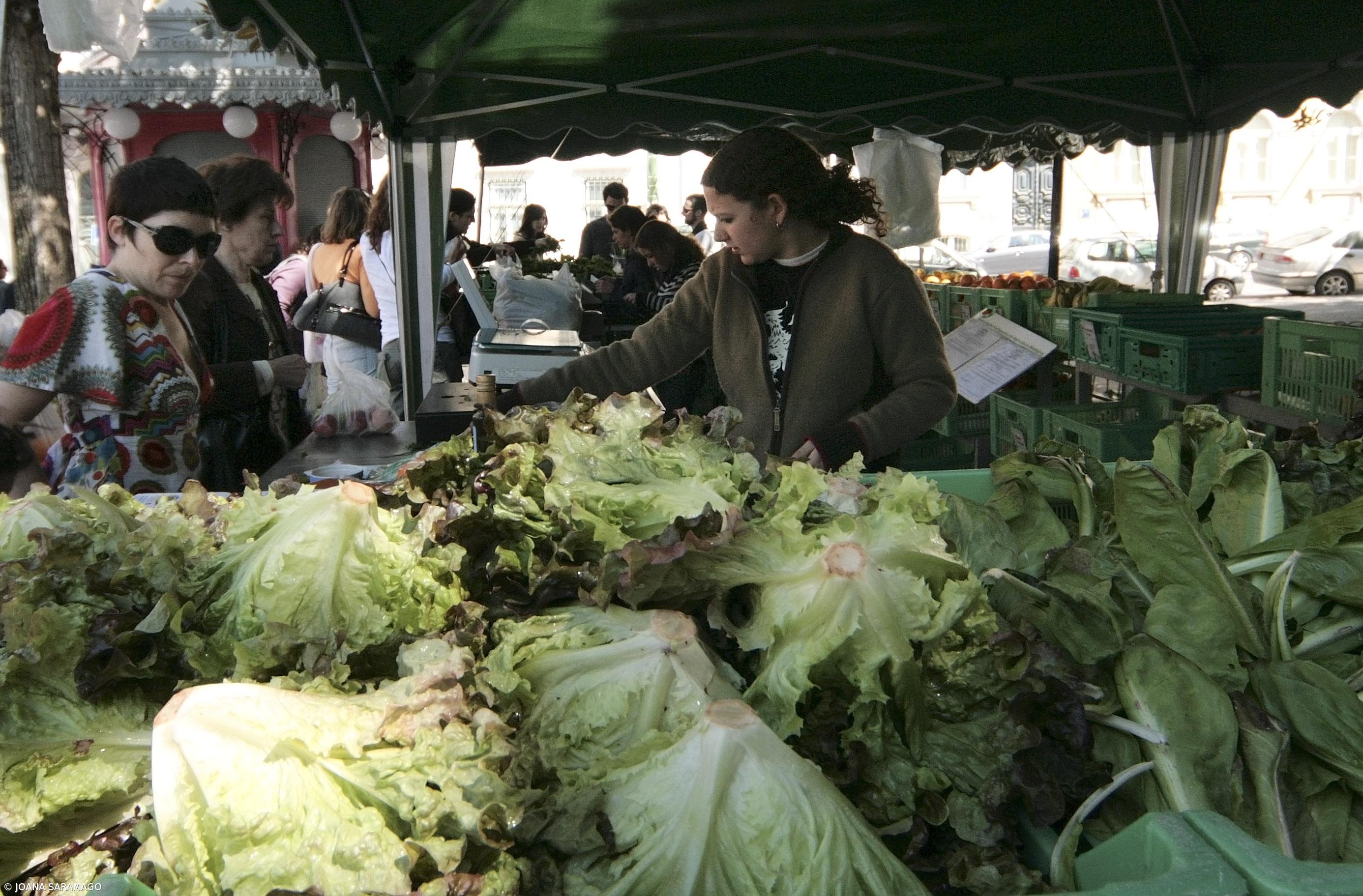Grupo de trabalho vai rever plano de Uso Sustentável dos Produtos Fitofarmacêuticos – Imagem 1