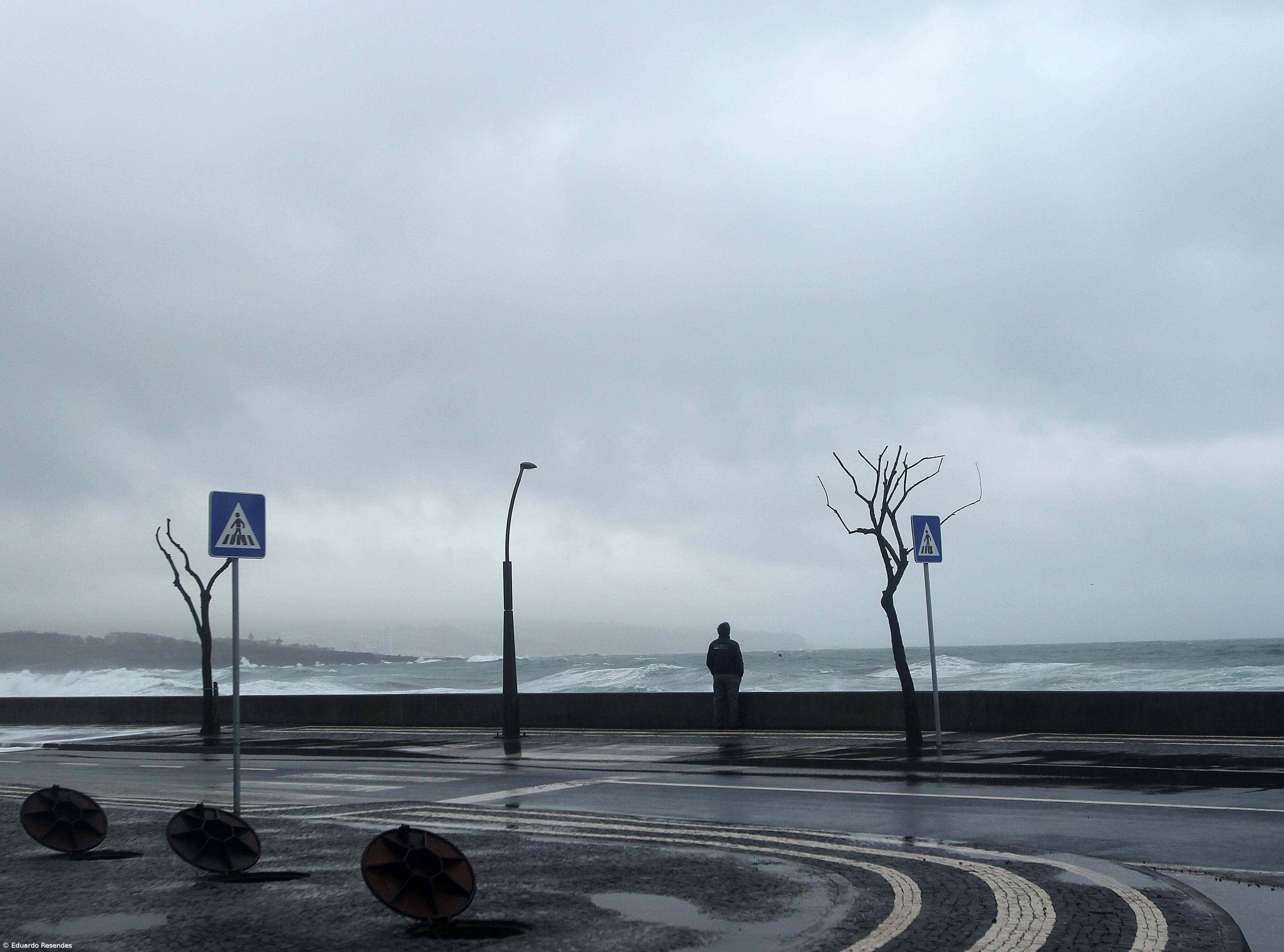 Jardim António Borges e Avenida do Mar encerrados – Imagem 1