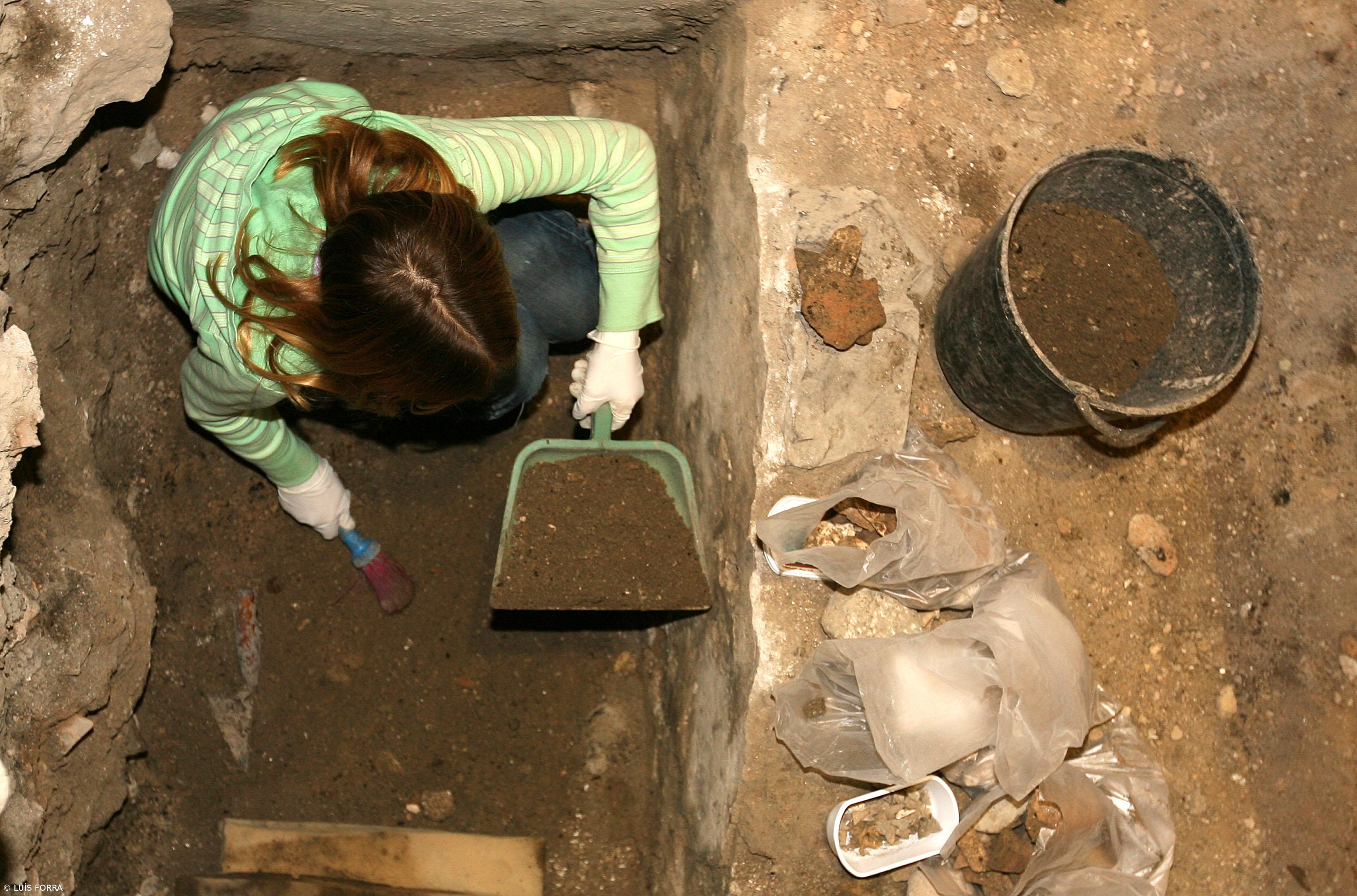 Arqueólogos do Côa descobrem a maior gravura rupestre do mundo no sítio do Fariseu  – Imagem 1