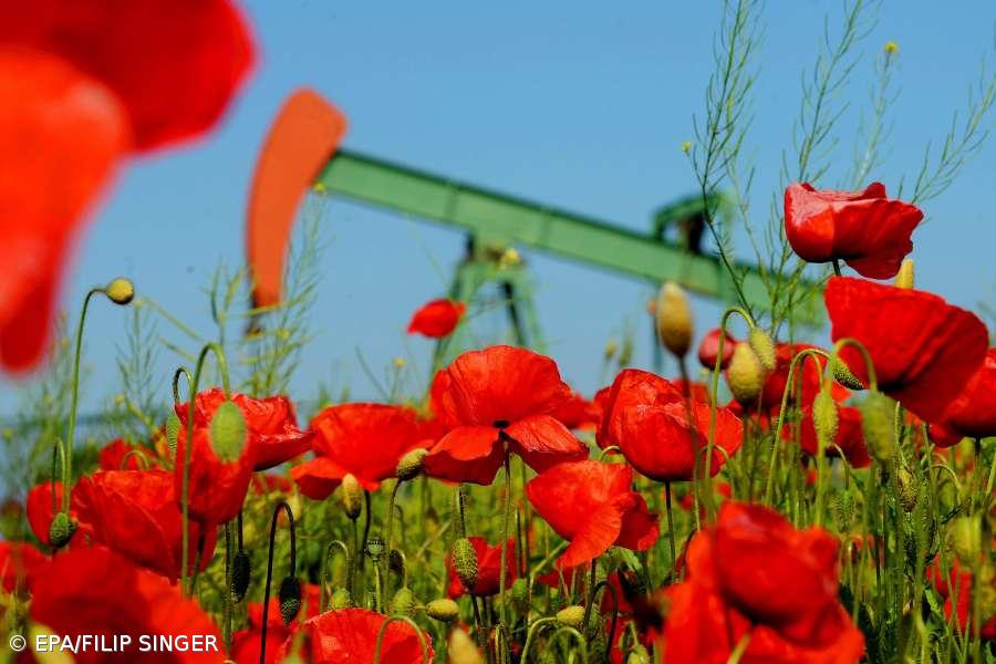  Preços do petróleo em queda – Imagem 1