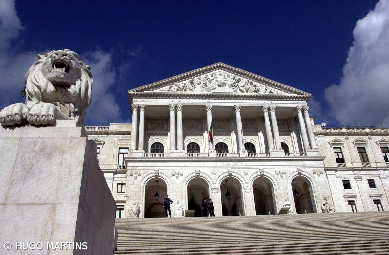 Socialistas de São Miguel querem “renovação” na lista às legislativas nacionais – Imagem 1