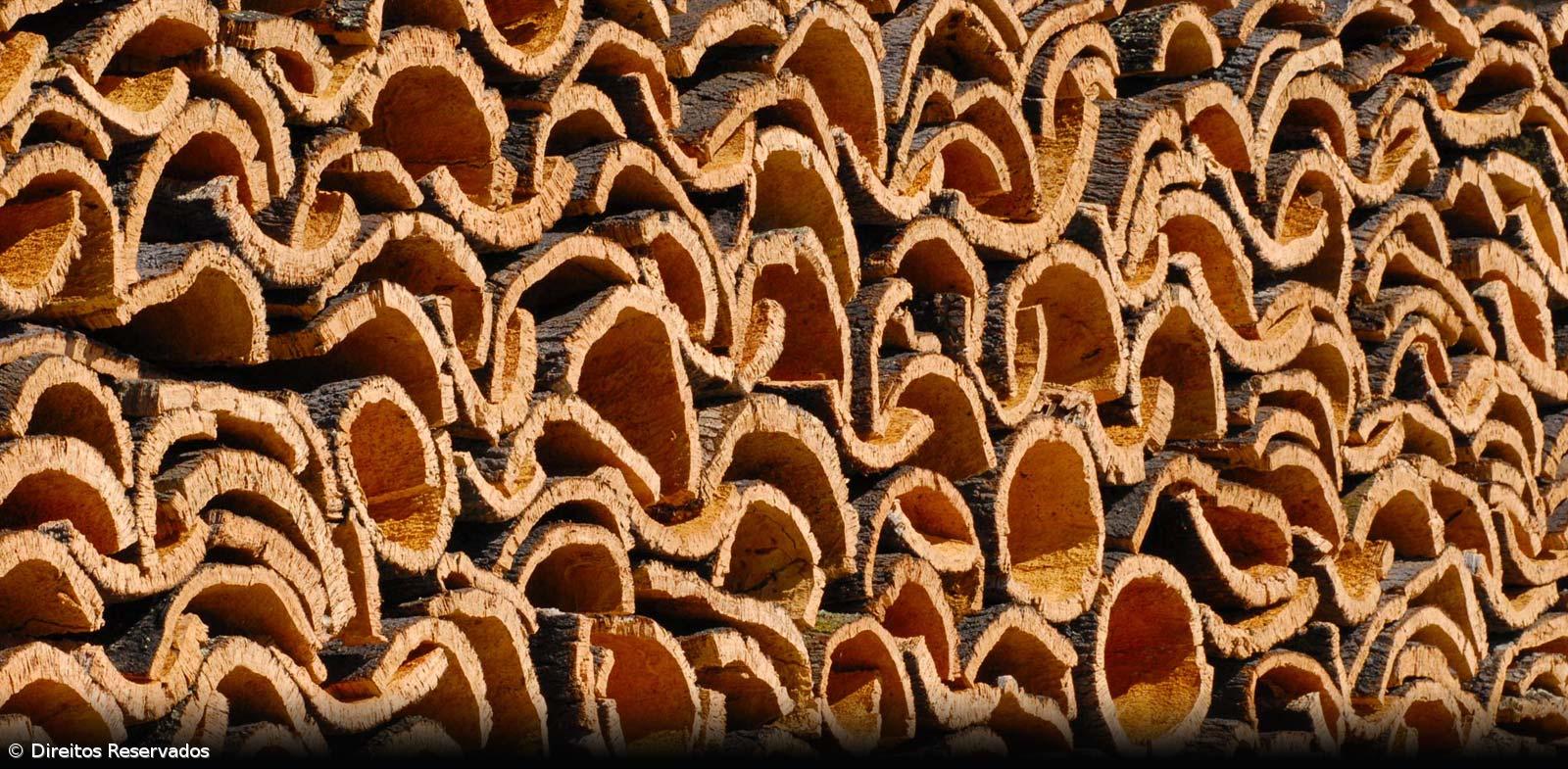 Do vinho à cortiça, empresários chineses apostam em produtos típicos de Portugal – Imagem 1