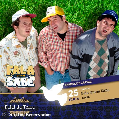 Toy no Império da Trindade do Faial da Terra – Imagem 3