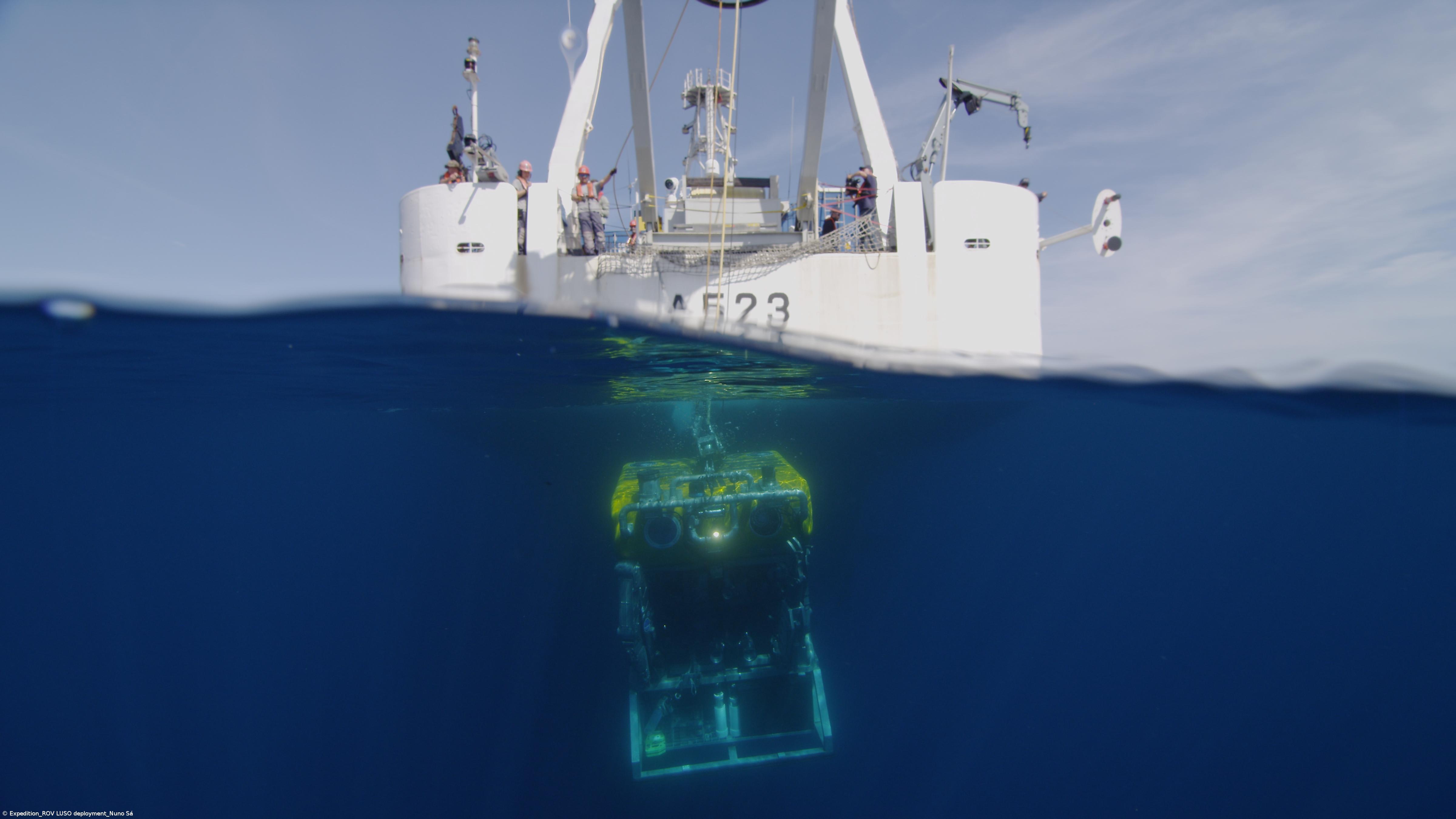 Expedição Oceano Azul apresenta resultados preliminares  – Imagem 1