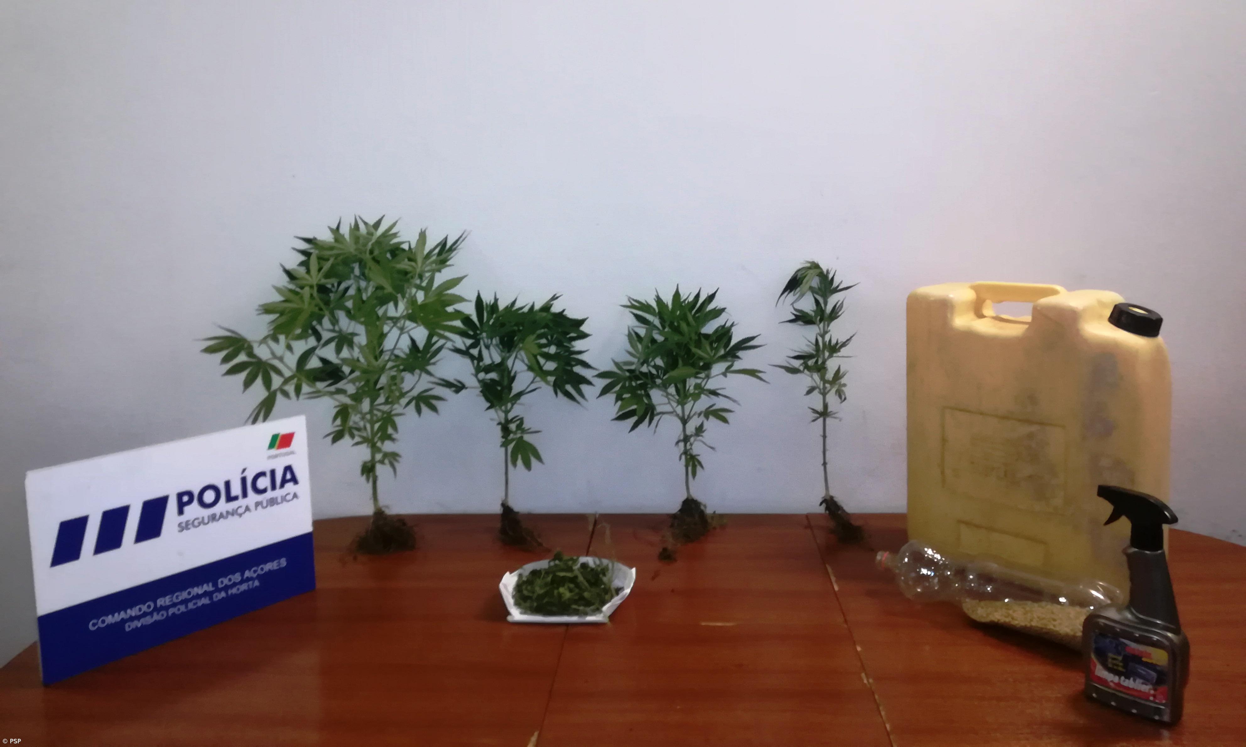 Detidos dois homens por tráfico de estupefacientes – Imagem 1