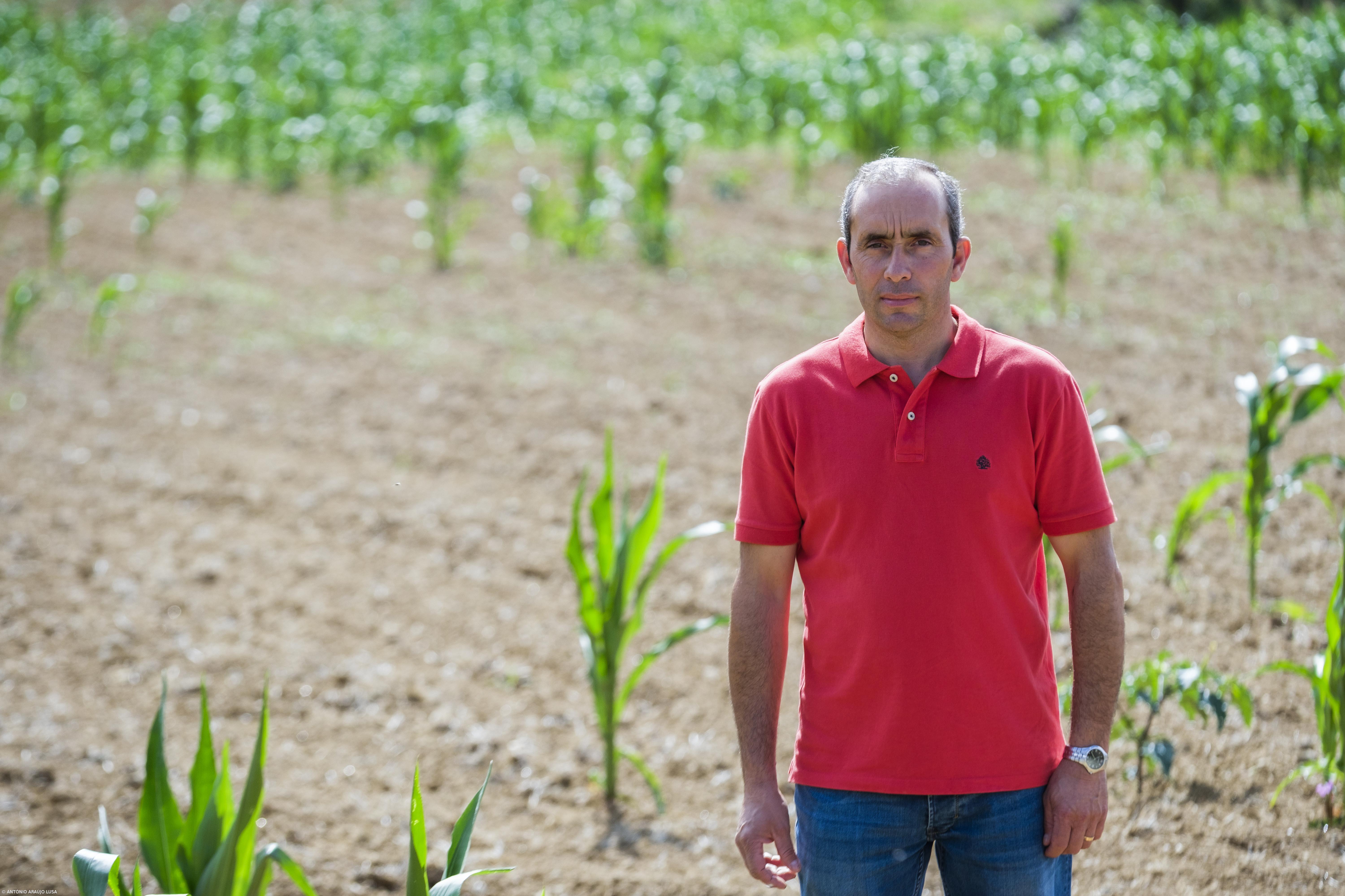 Associações agrícolas da ilha Terceira insatisfeitas com apoios do Governo Regional – Imagem 1