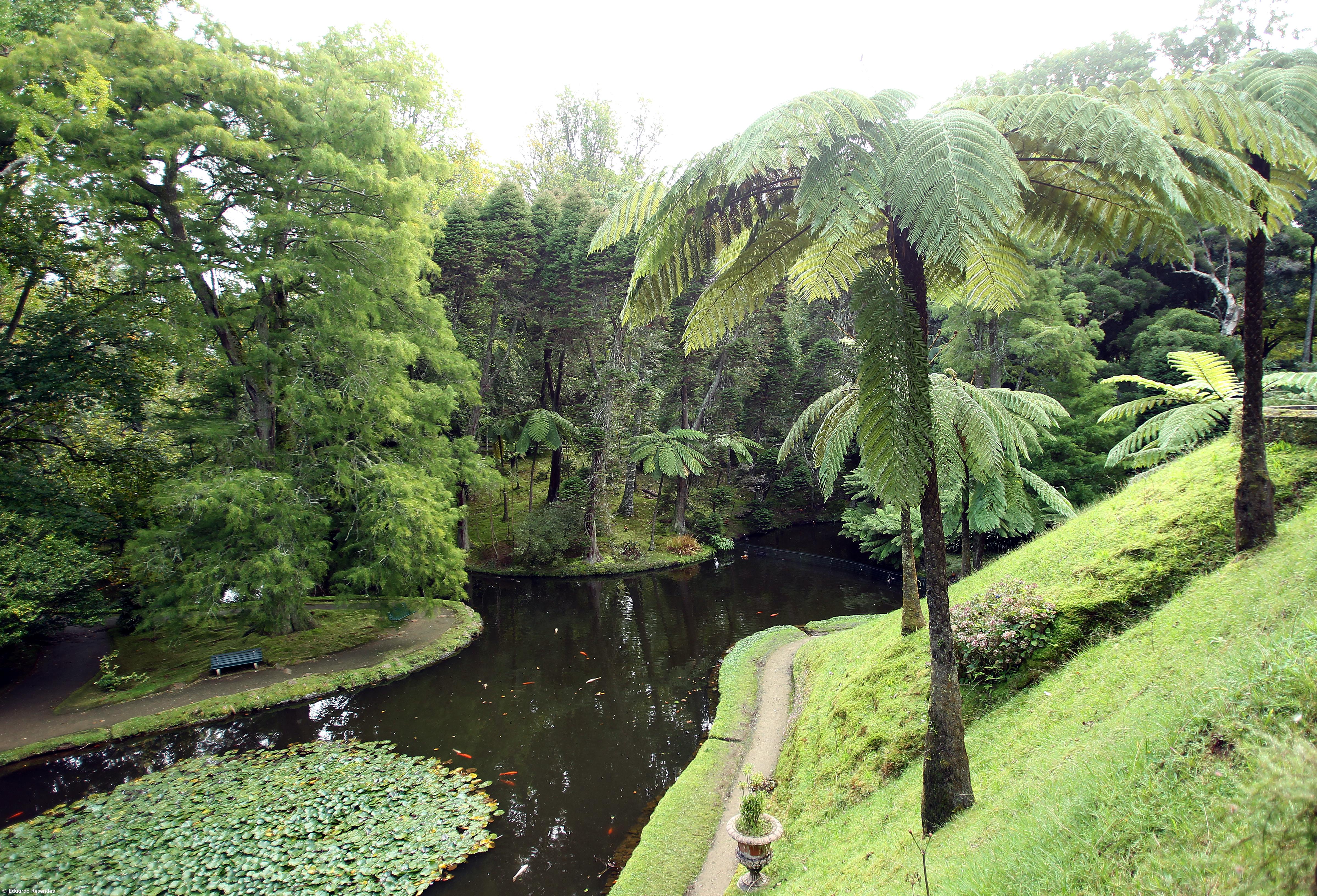 Grupo Bensaude investe na Ignae e aposta na inovação – Imagem 1