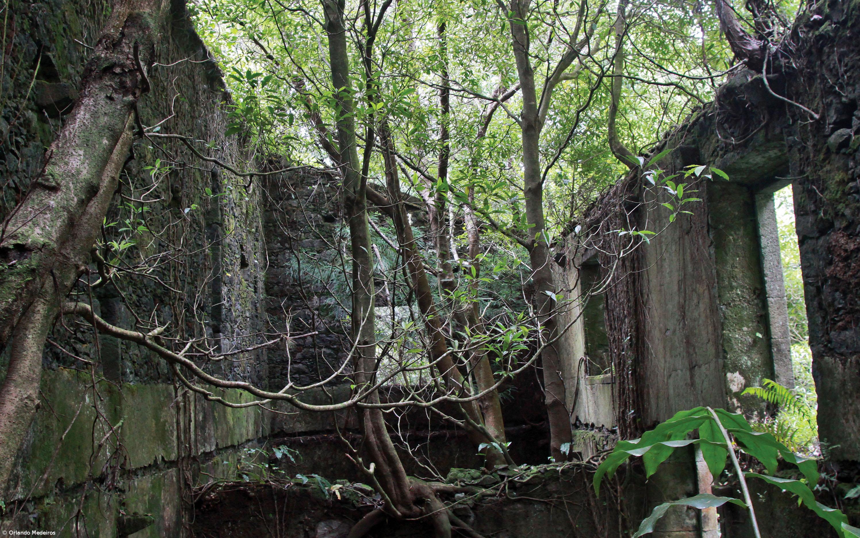 Governo vende propriedade da Grená na lagoa das Furnas – Imagem 1