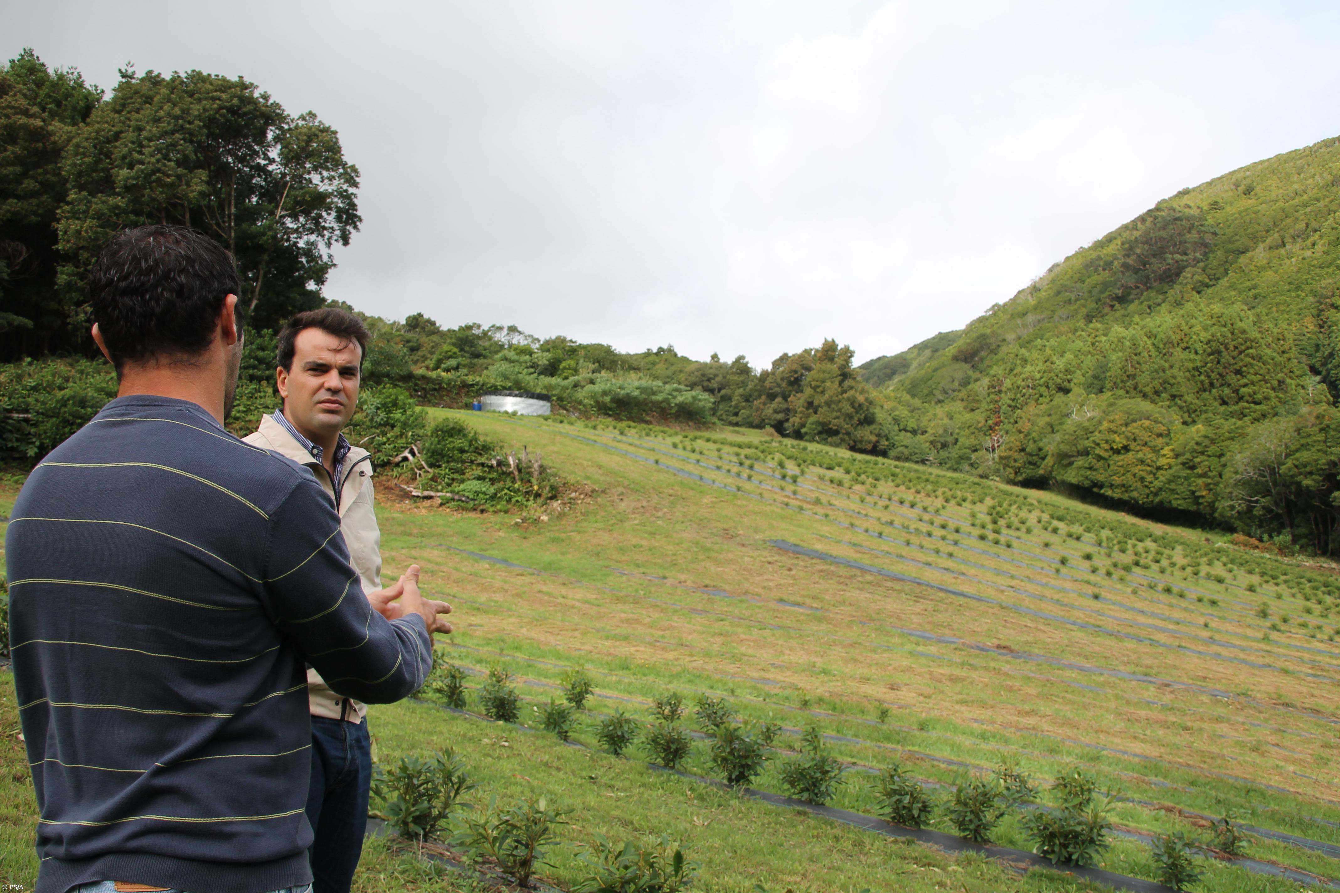 "Aposta na diversificação agrícola tem permitido criar mais riqueza e mais emprego" – Imagem 1