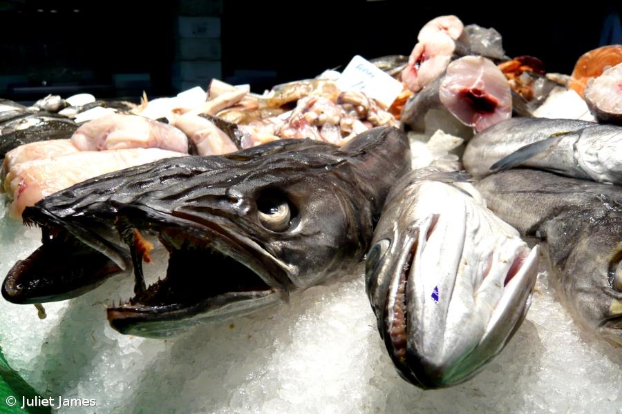 Bruxelas estabelece preços de referência do peixe para 2012 – Imagem 1