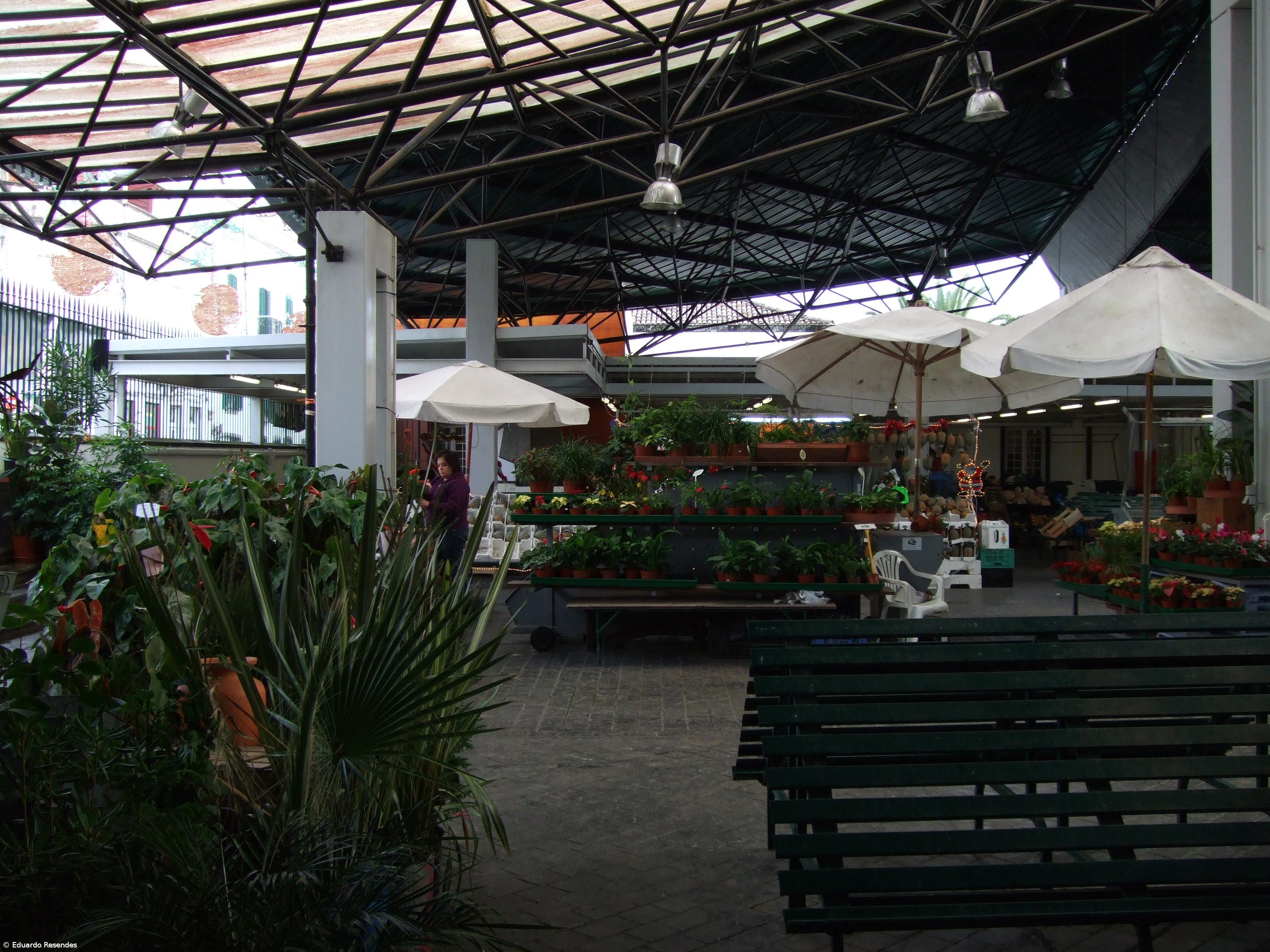 Rastreios visuais gratuitos no Mercado da Graça – Imagem 1