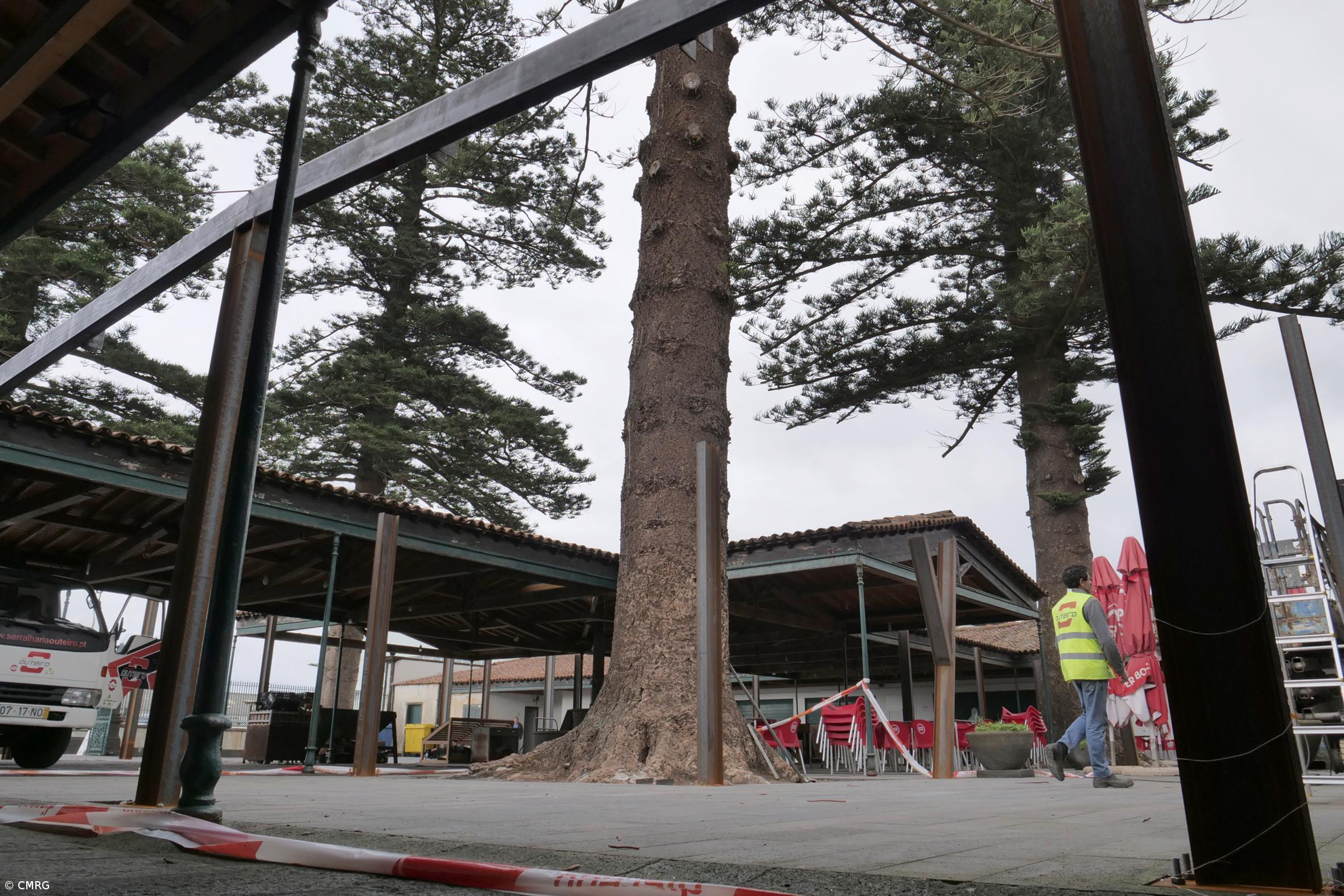 Câmara avança com última fase do projeto de revitalização do mercado municipal – Imagem 1