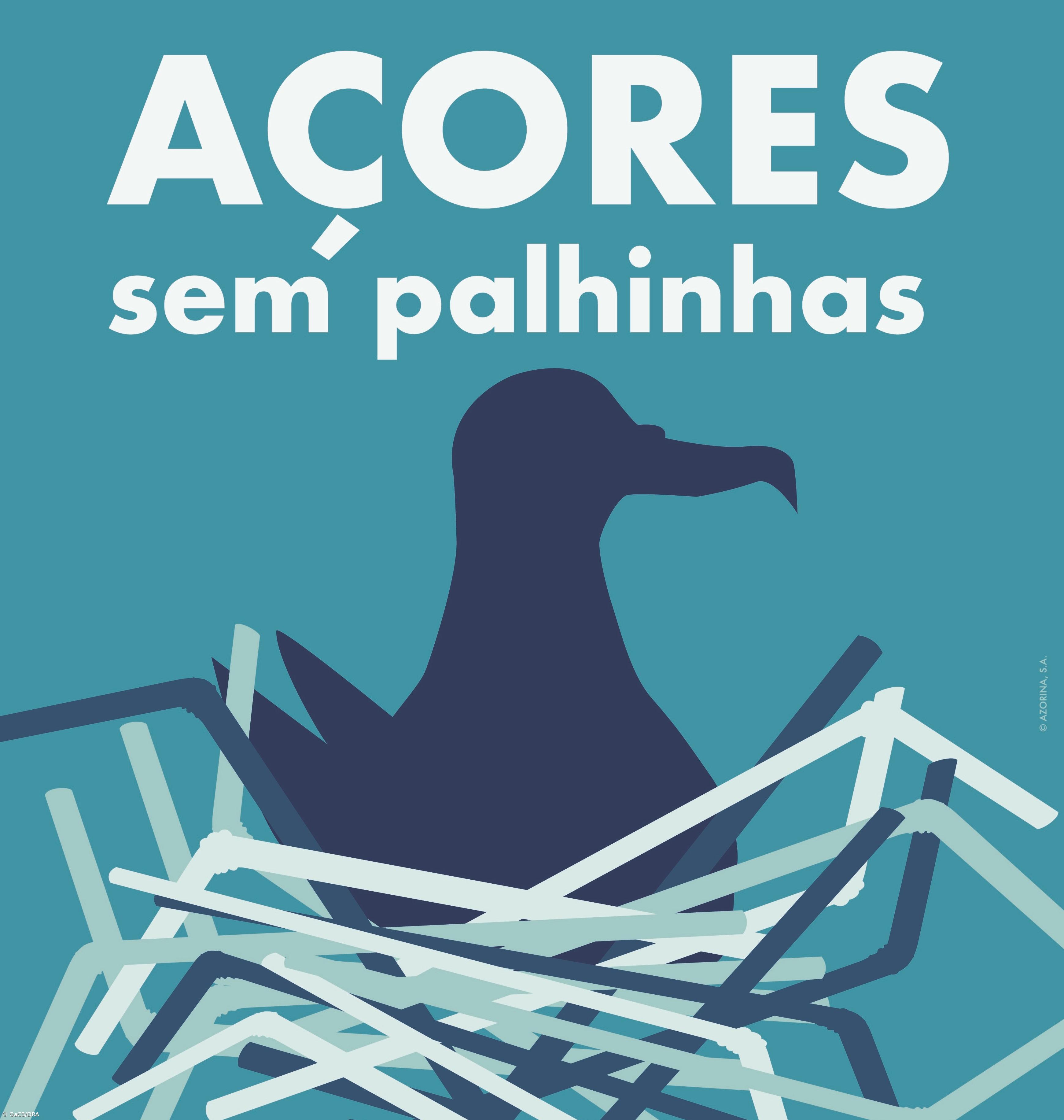  Governo dos Açores lança campanha de prevenção dos plásticos descartáveis – Imagem 1