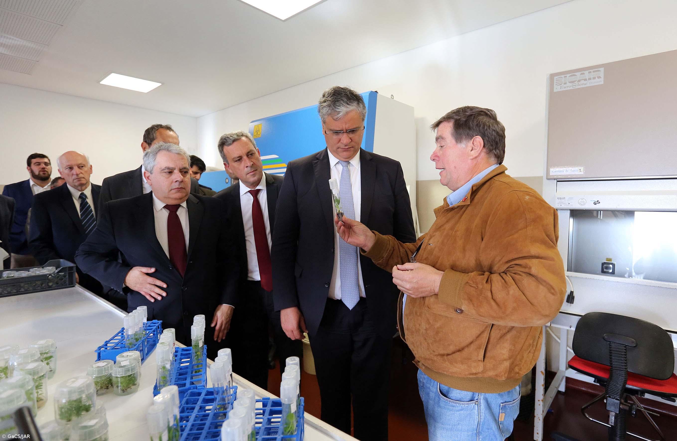 TERINOV em funcionamento no próximo ano – Imagem 1