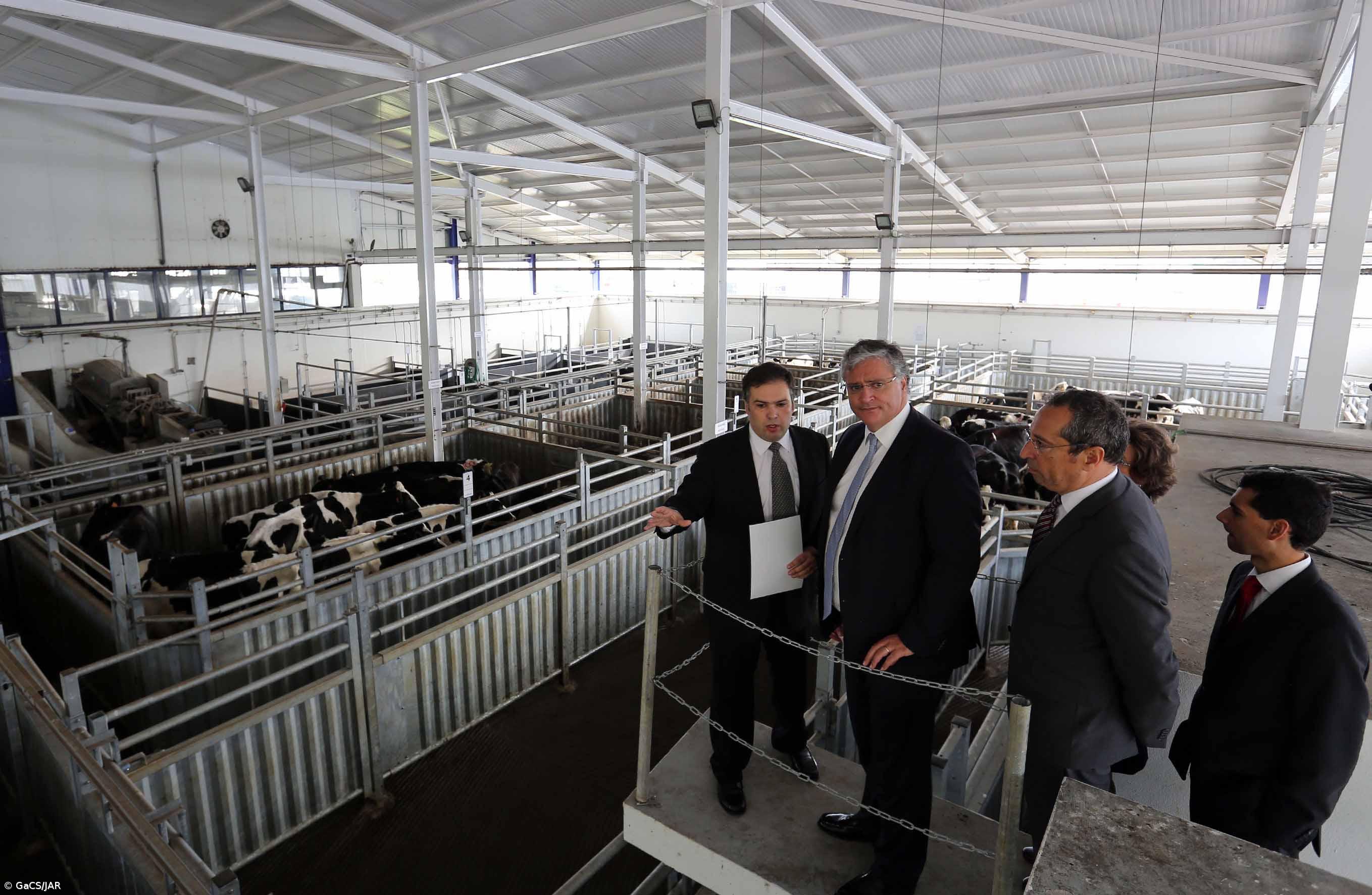 "Investimento de 1,6 ME no Matadouro da Terceira vai reforçar a competitividade da fileira da carne" – Imagem 1