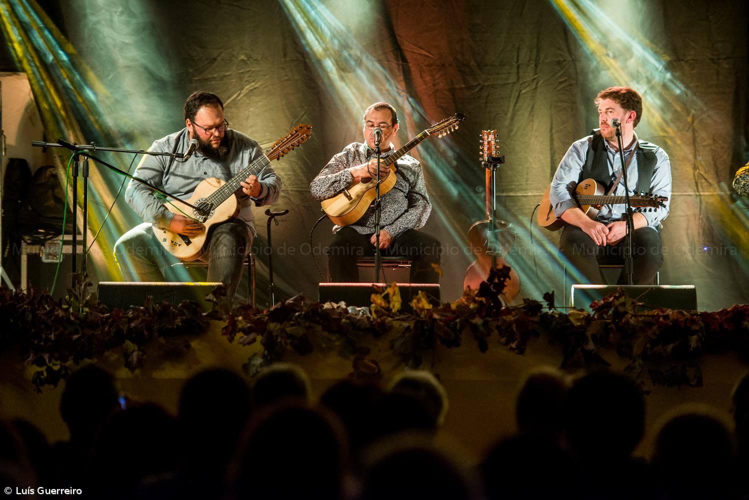 Viola da Terra no VIII Encontro de Violas de Arame – Imagem 1