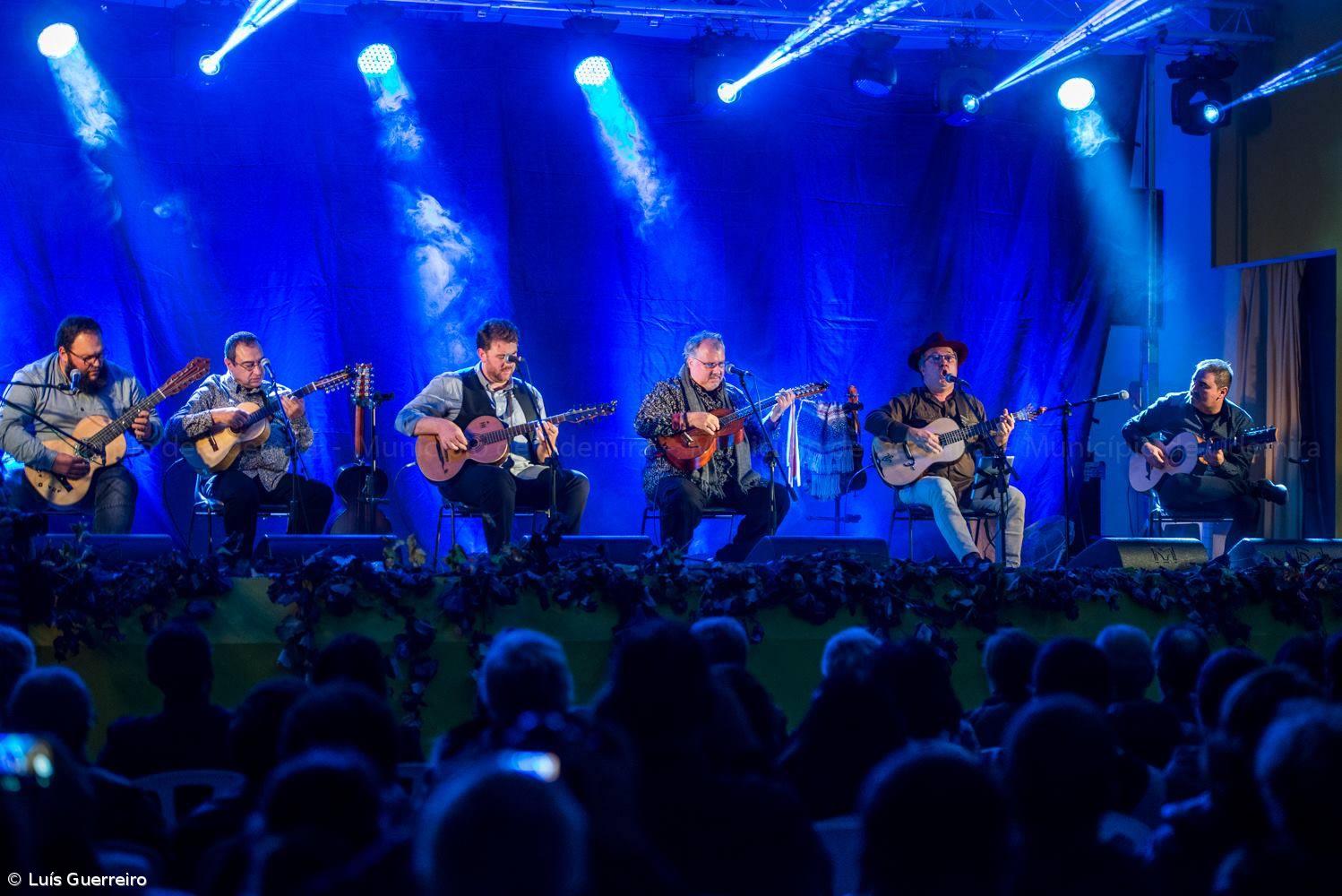 Viola da Terra no VIII Encontro de Violas de Arame – Imagem 3