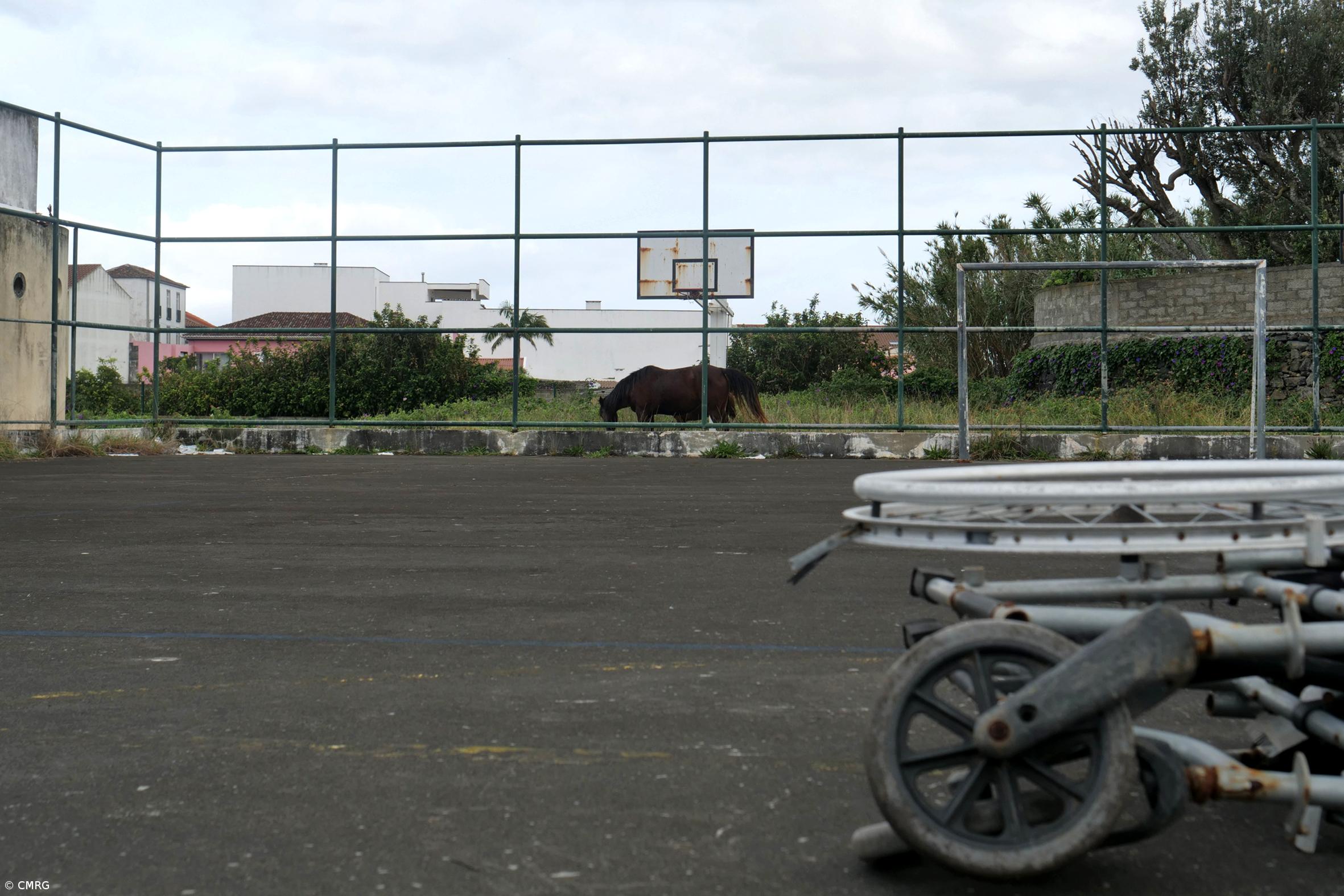 Alexandre Gaudêncio reivindica soluções junto do governo regional para problemas na Ribeira Grande – Imagem 3
