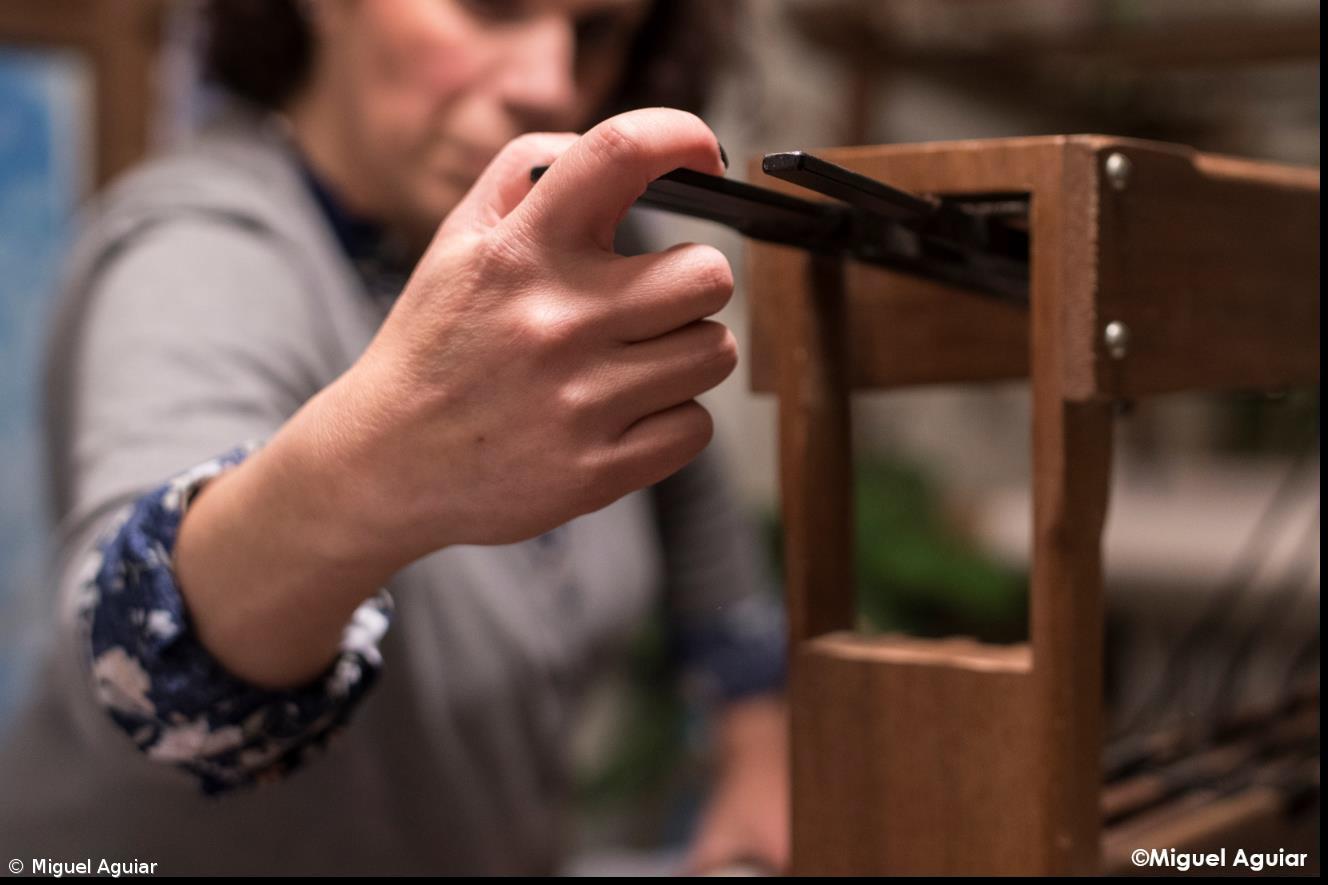 Moda nacional com ADN açoriano – Imagem 1