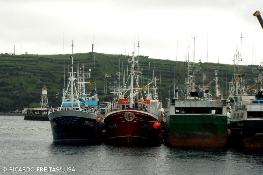 Secretária das Pescas promete eólicas 'offshore' alinhadas com a pesca  – Imagem 1